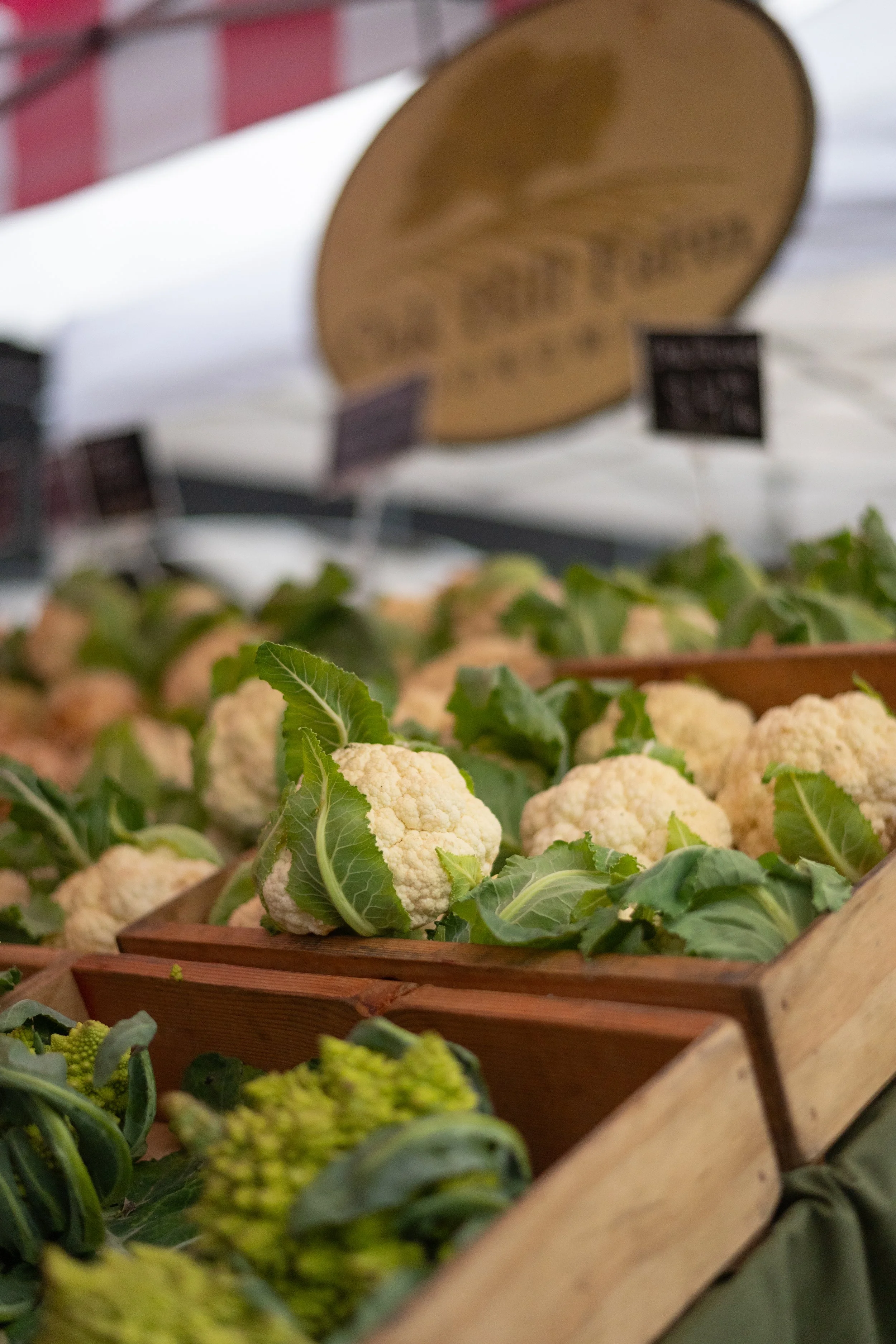 Friday Farmers Market 