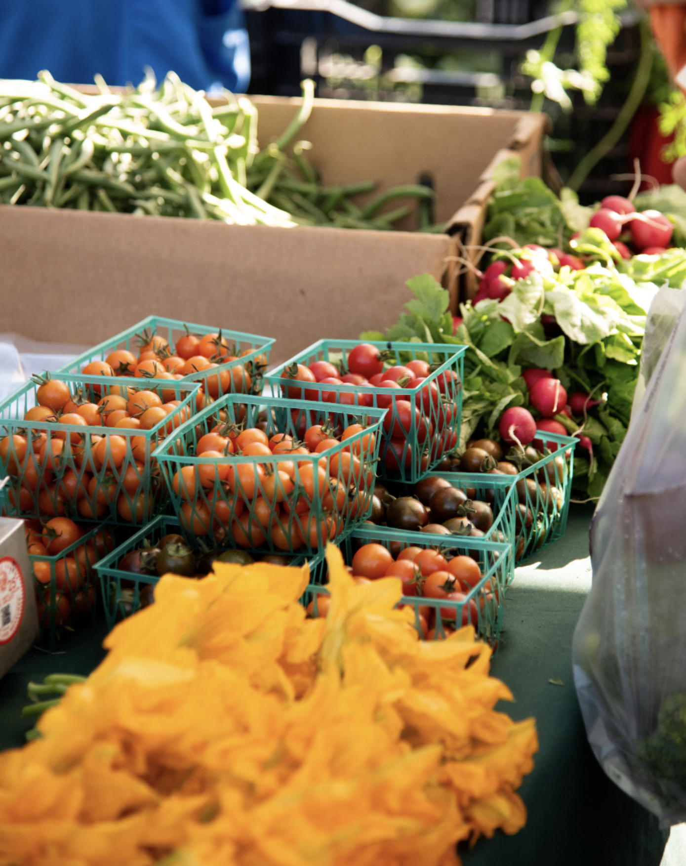 Friday Farmers Market