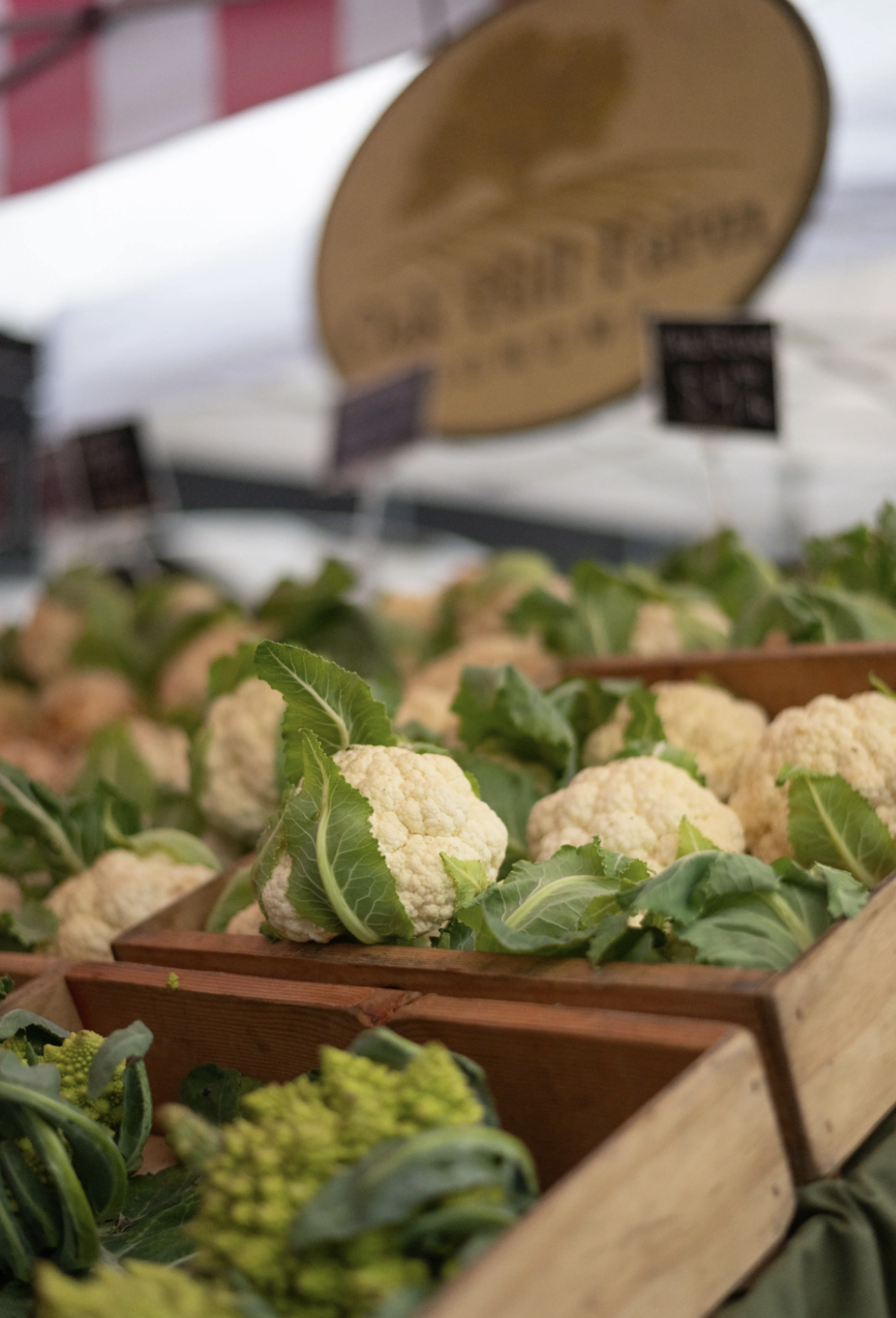 Friday Farmers Market 