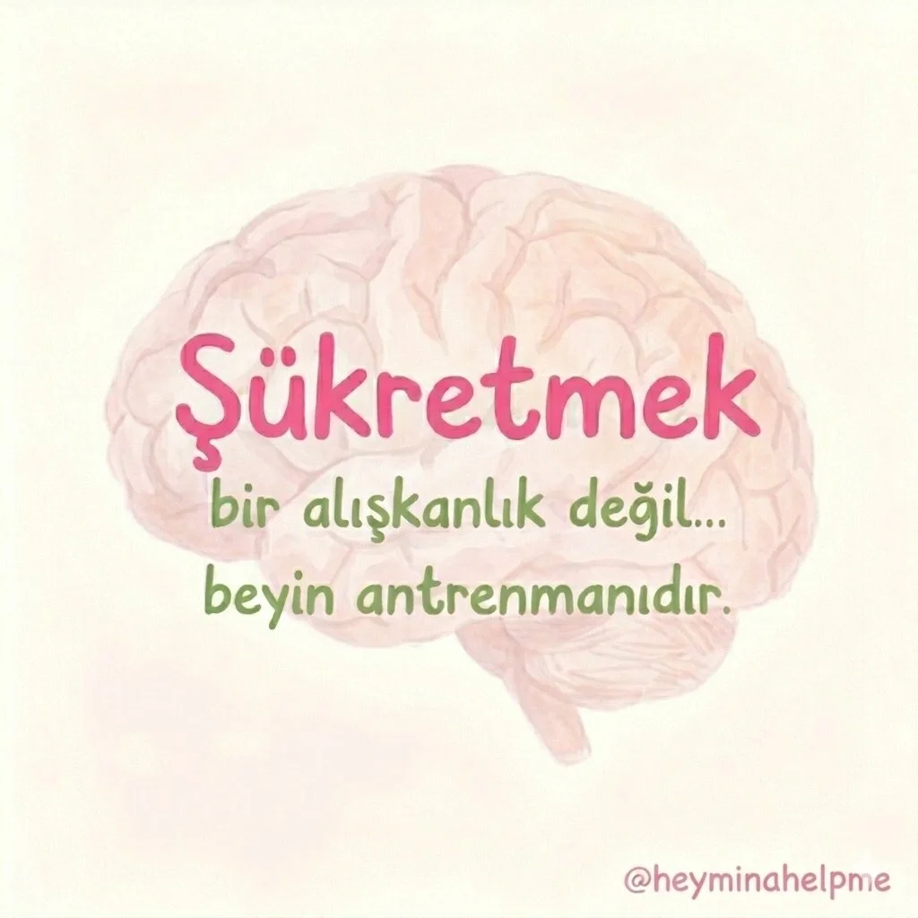 𝐒̧𝐮̈𝐤𝐫𝐞𝐭𝐦𝐞𝐧𝐢𝐧 beynimizde ne yaptığını biliyor muydun?

Stres hormonlarını azaltır;
serotonin ve endorfin seviyelerini artırarak psikolojik dayanıklılığı g&uuml;&ccedil;lendirir.

Hayat kaliteni y&uuml;kseltir, pozitif algını genişletir.

G