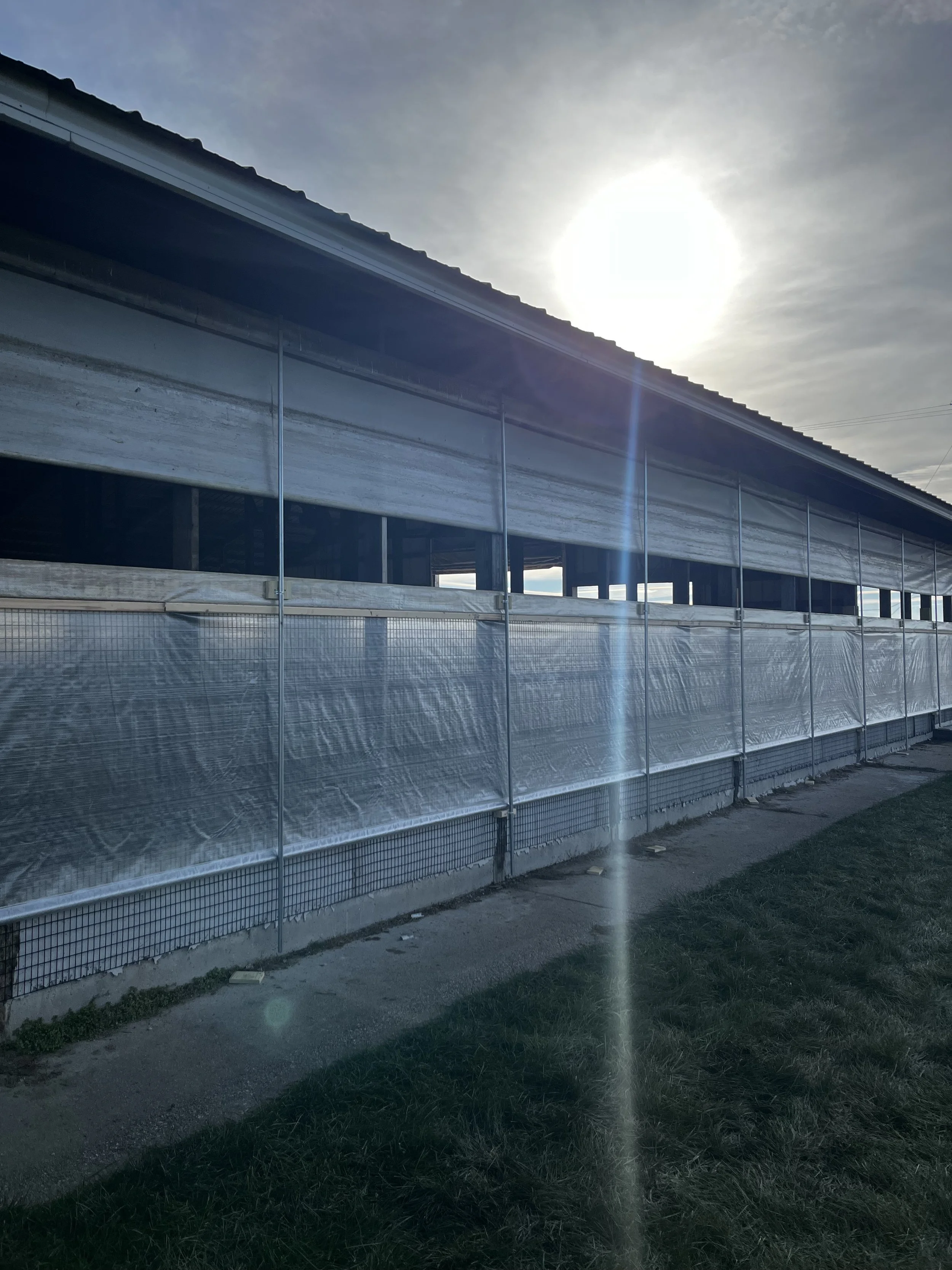 Cattle Barn Curtain Installation in Clare, Michigan | Lowe Maintenance LLC
