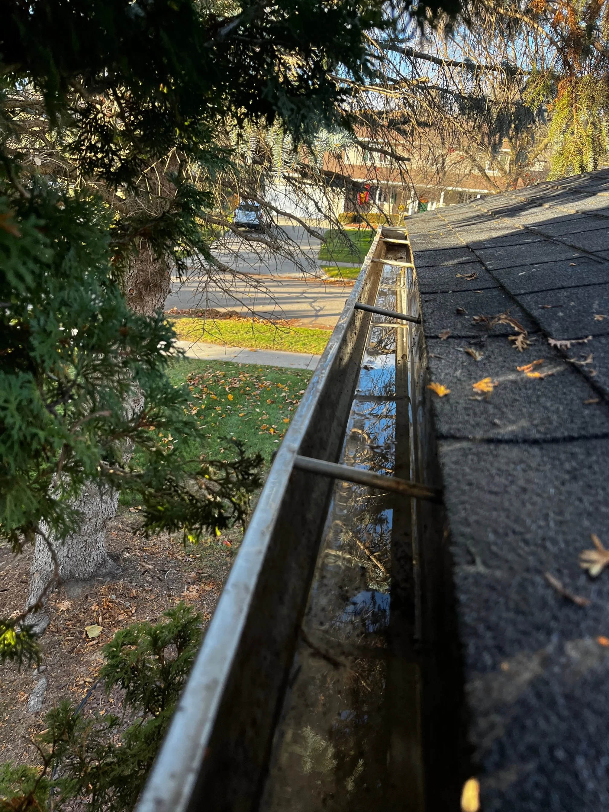 Gutter Cleanout