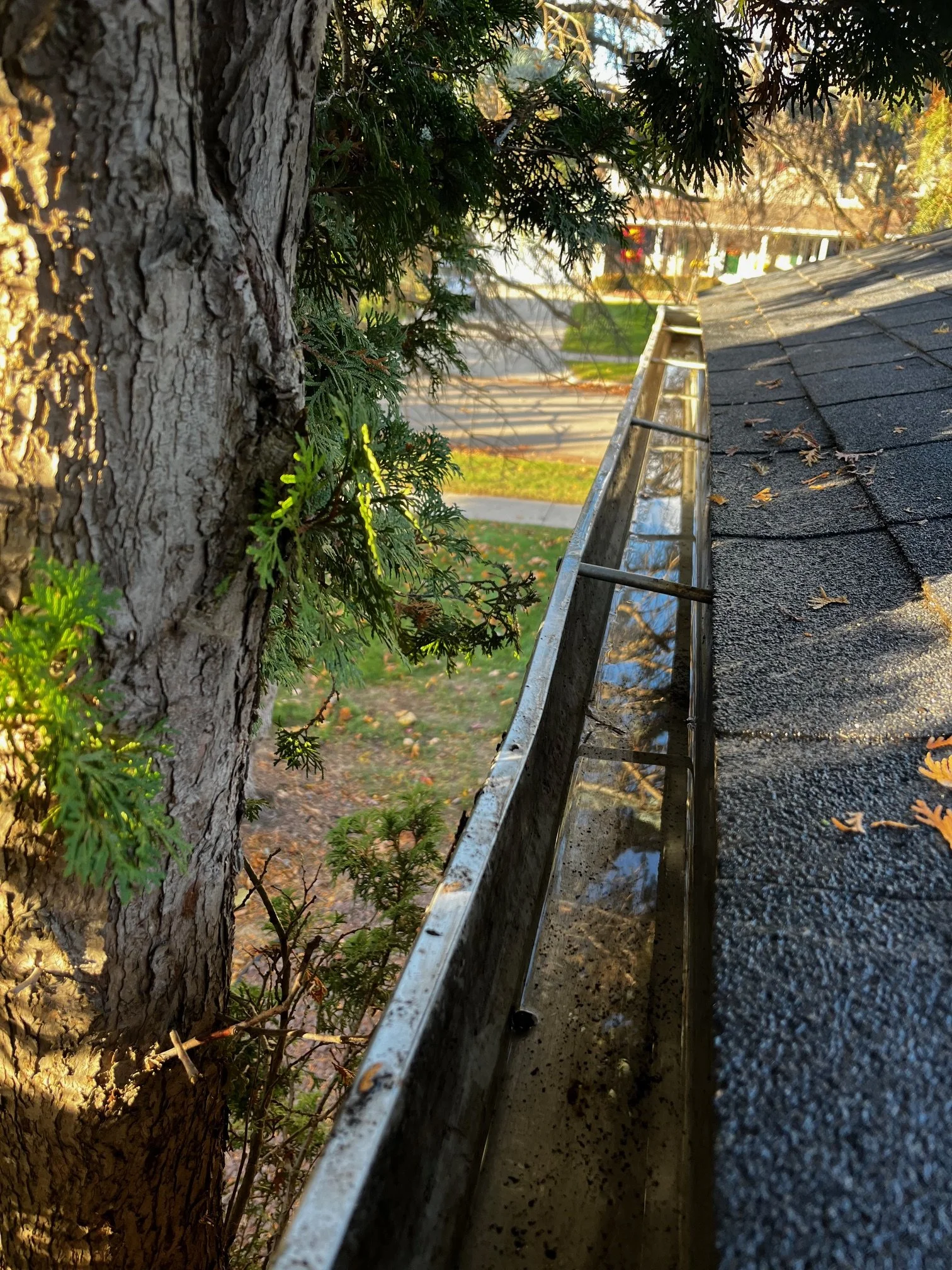 Gutter Cleanout and Leaf Cleanup in Mount Pleasant, Michigan by Lowe Maintenance LLC