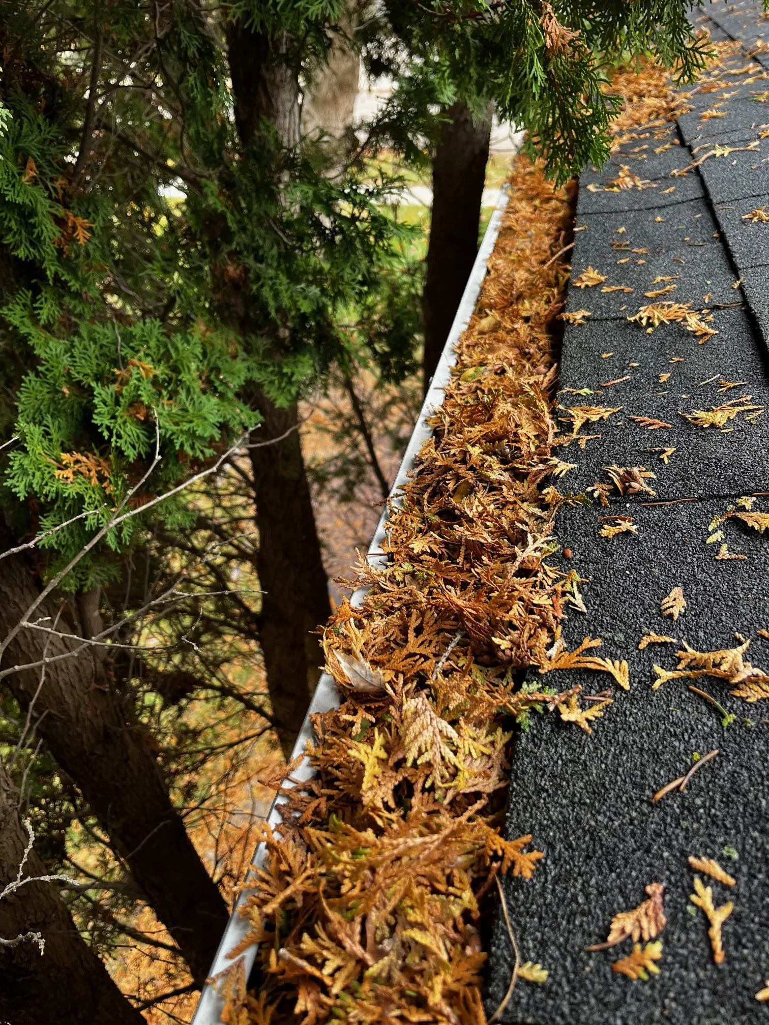 Gutter Cleanout and Leaf Cleanup in Mount Pleasant, Michigan by Lowe Maintenance LLC