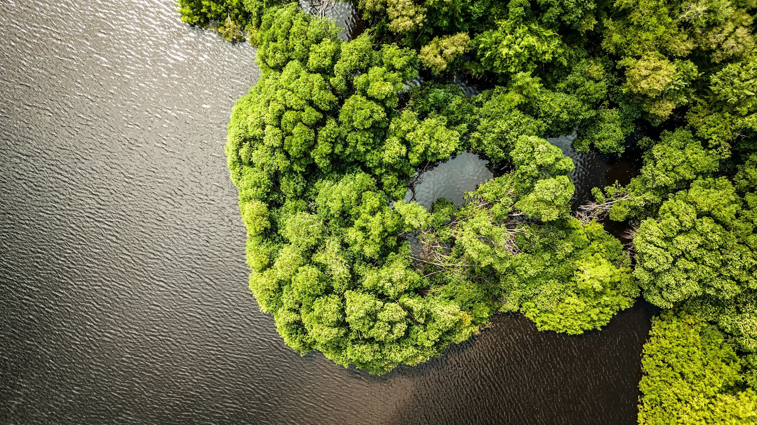 Augmented Nature: Scaling Marine Restoration with AI and Natural Capital Intelligence