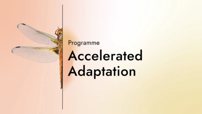 Building ARIA's Accelerated Adaptation Programme for Impact