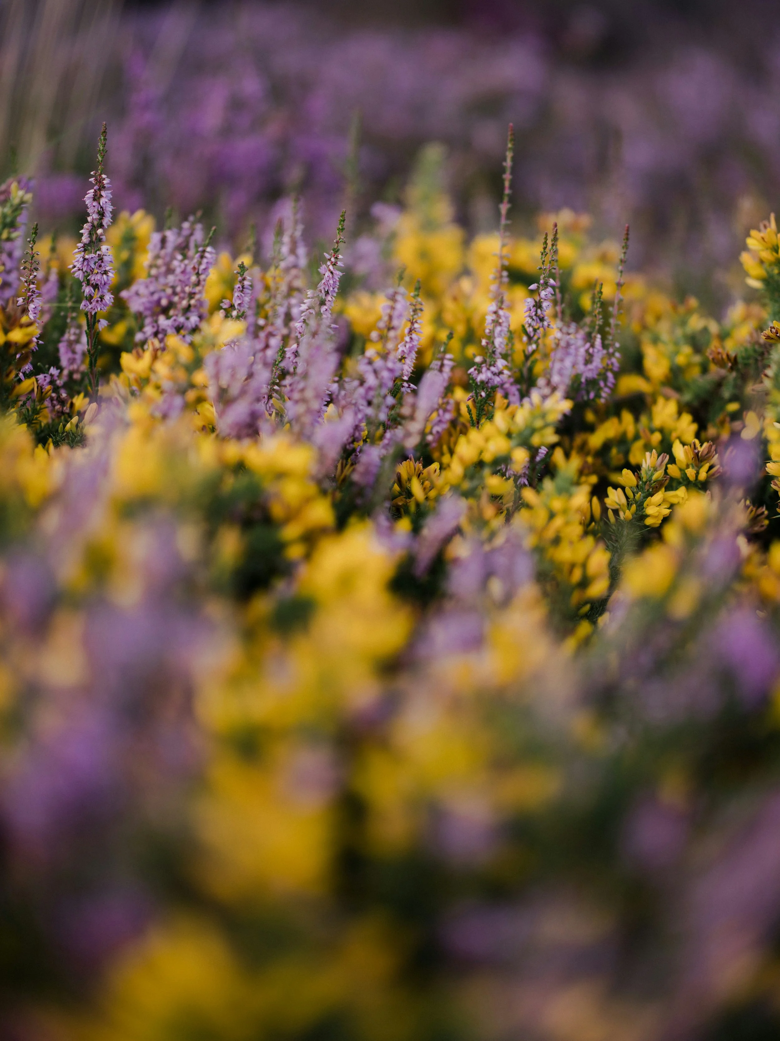 What We Learned Building the Operating System for the World's Most Advanced Nature Compliance Market