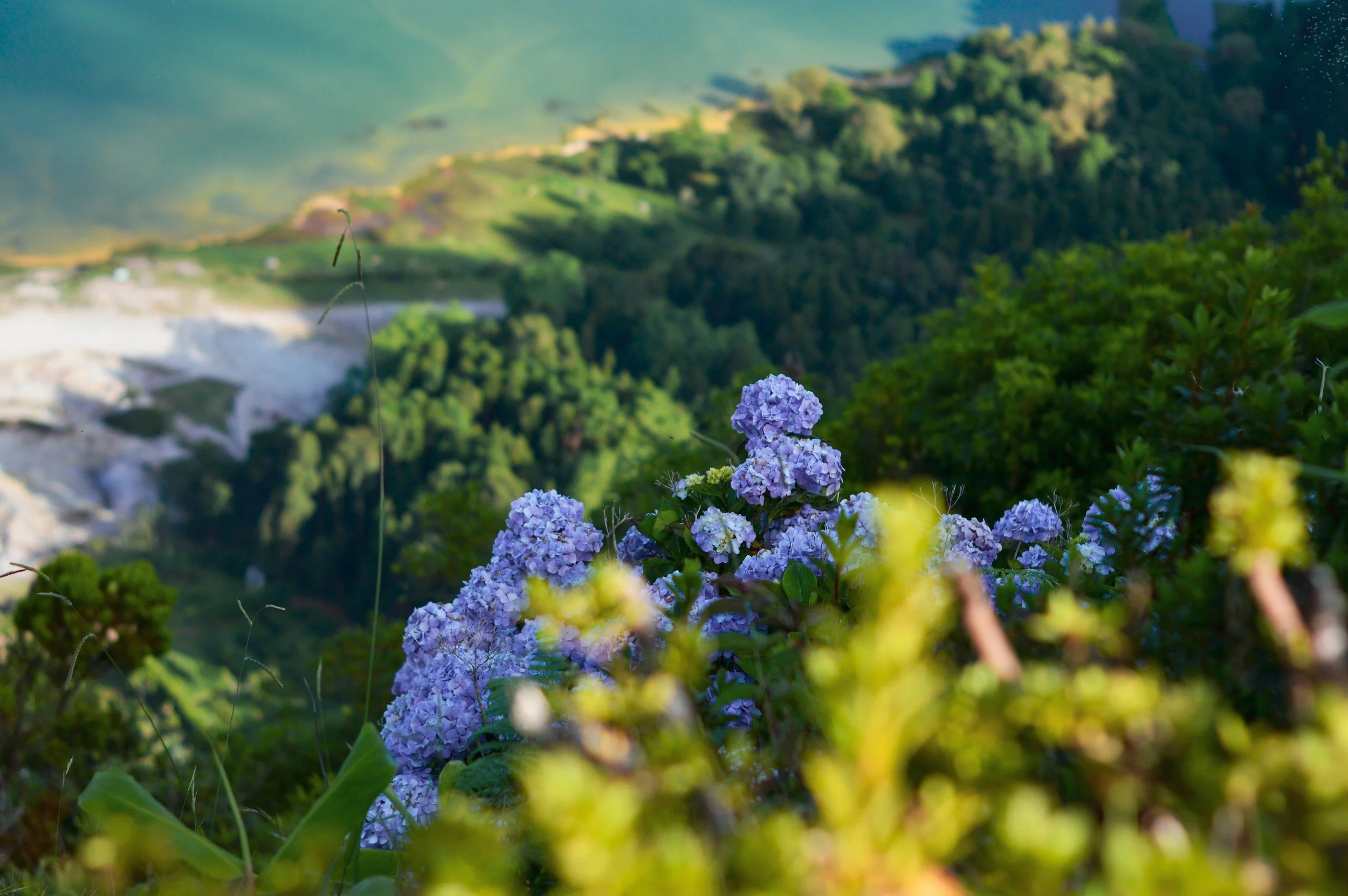 Corporate Needs for Nature Tech: Which Areas Are Well Served? Where Are the Gaps and Barriers?