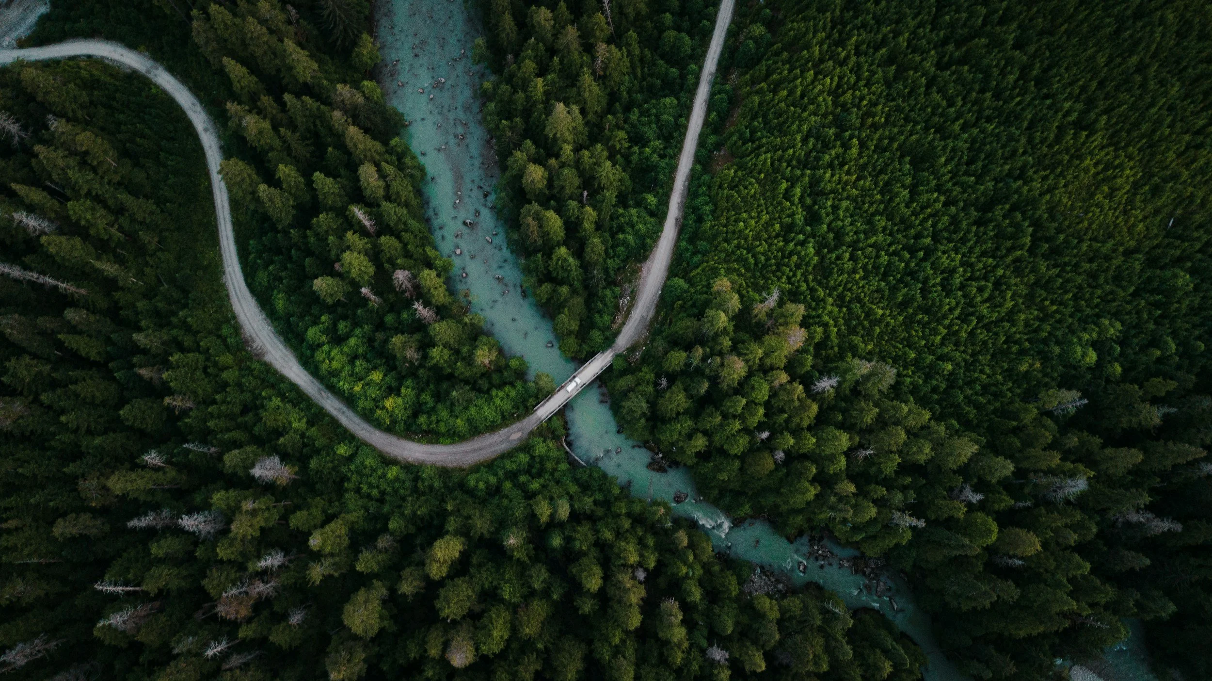 Decision-Ready Nature: Applying AI to What We Can Measure, and Act On Today