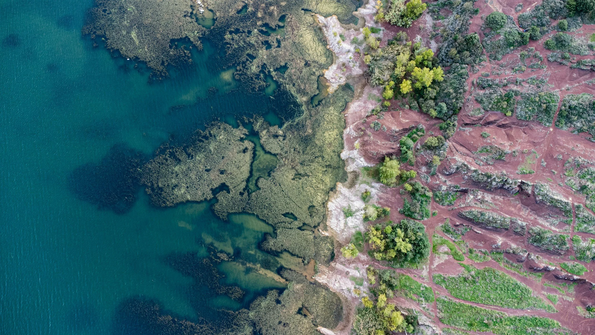 Ecosystem Condition: The Metric Everyone Cites and Nobody Agrees On