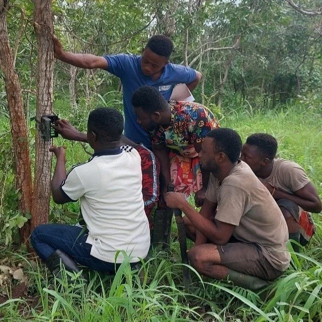 Nature Tech Beyond Dashboards: Turning Monitoring Data into Conservation Action