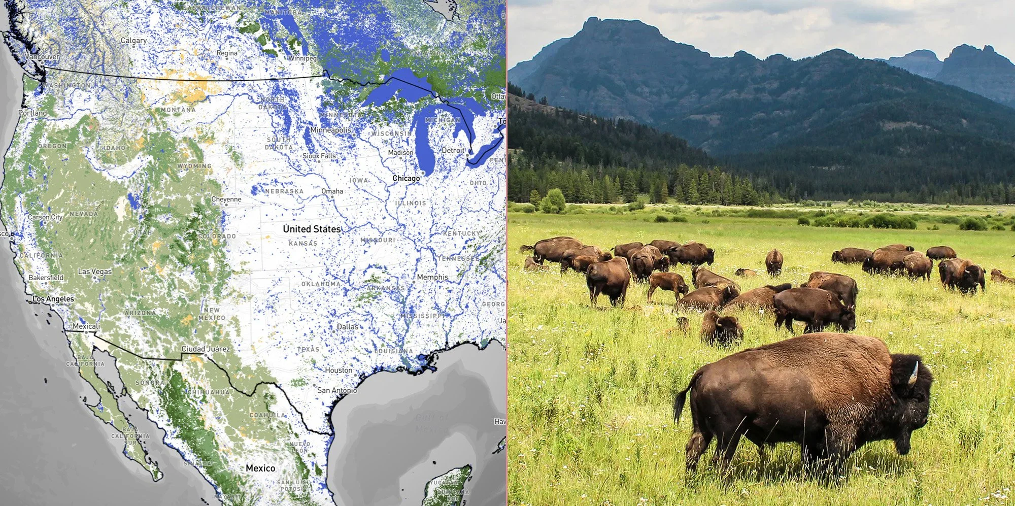 Nature-adjusted GDP: A new vision made possible by large, open source geospatial datasets