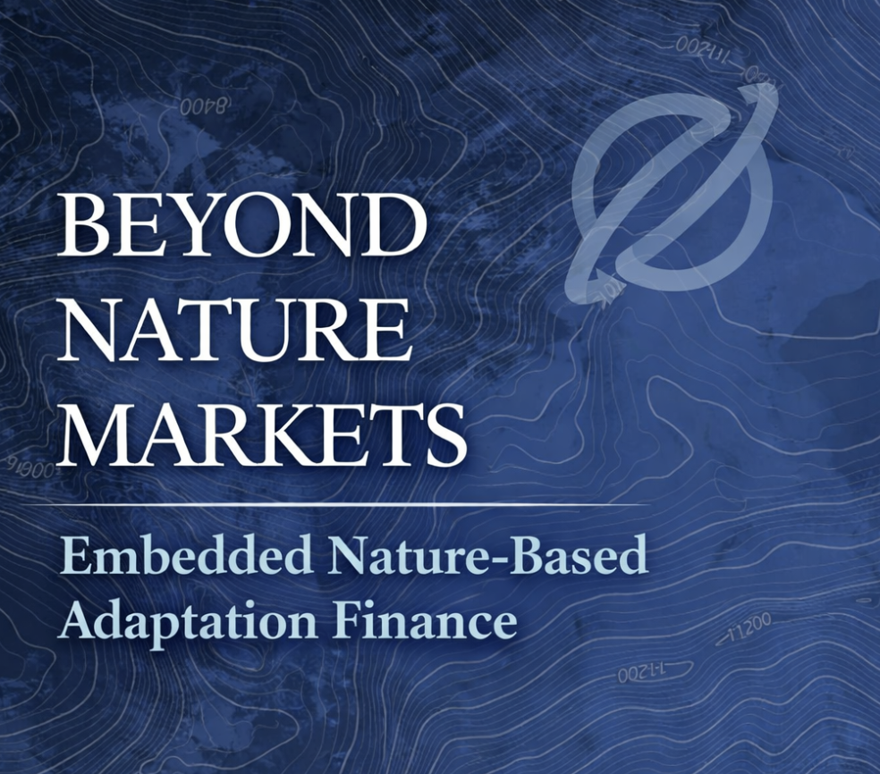 The Adaptation Paradox: Why Are Markets Still Retreating &amp; How Do We Build an Adaptive Finance Architecture?