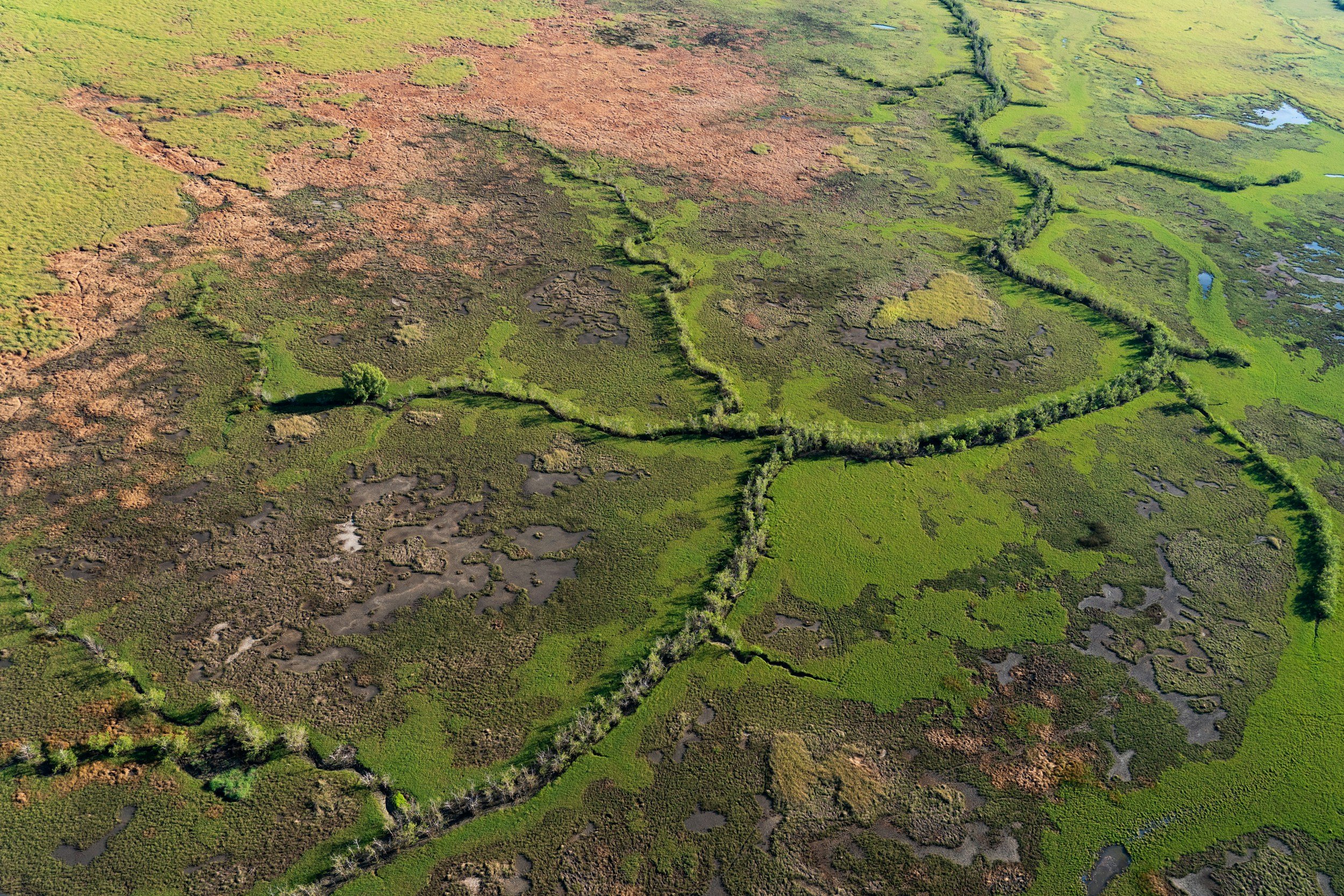 The Value of On the Ground Data in Today's Modelled World
