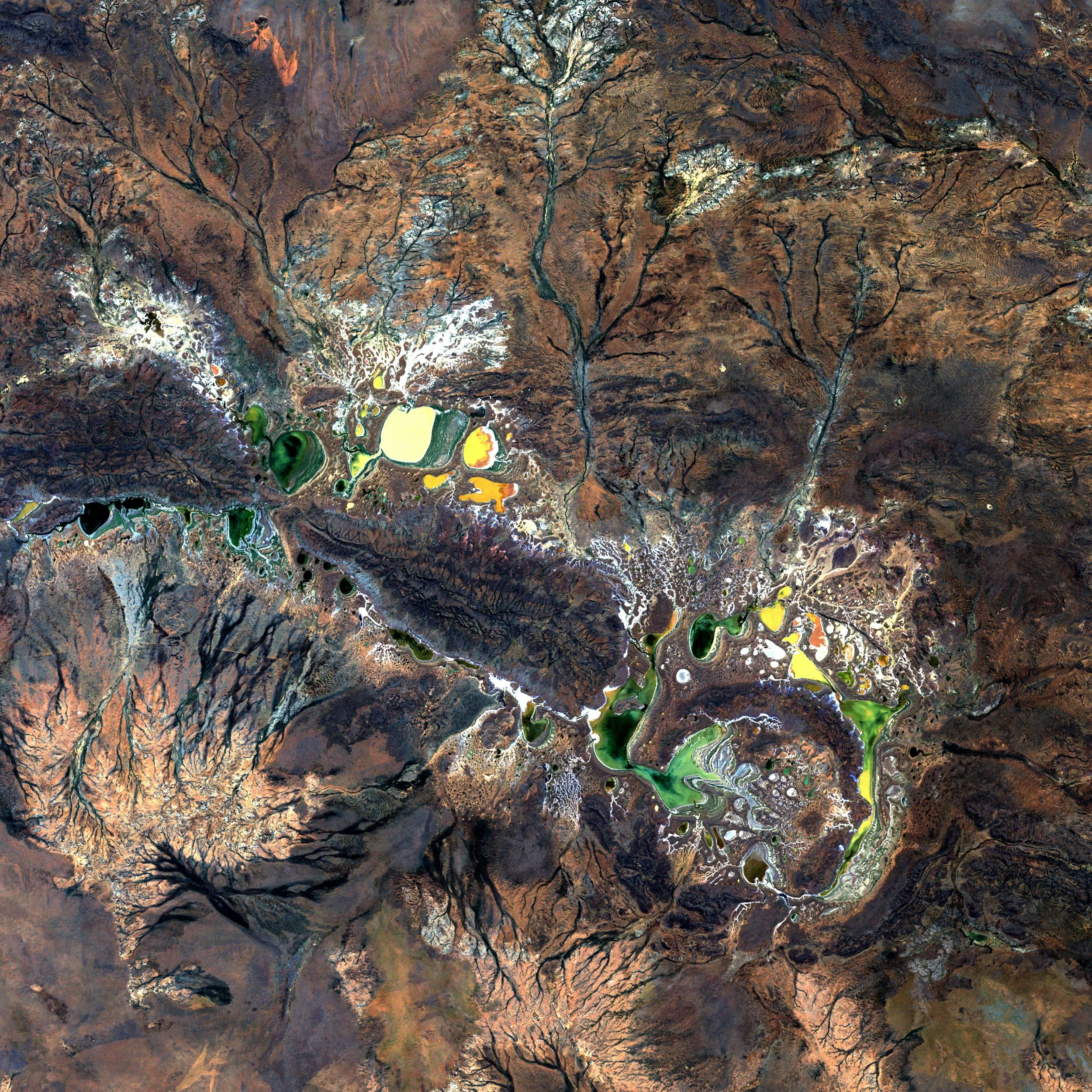 Satellite, Drone, or Field Data? Designing Scalable Nature Monitoring Systems