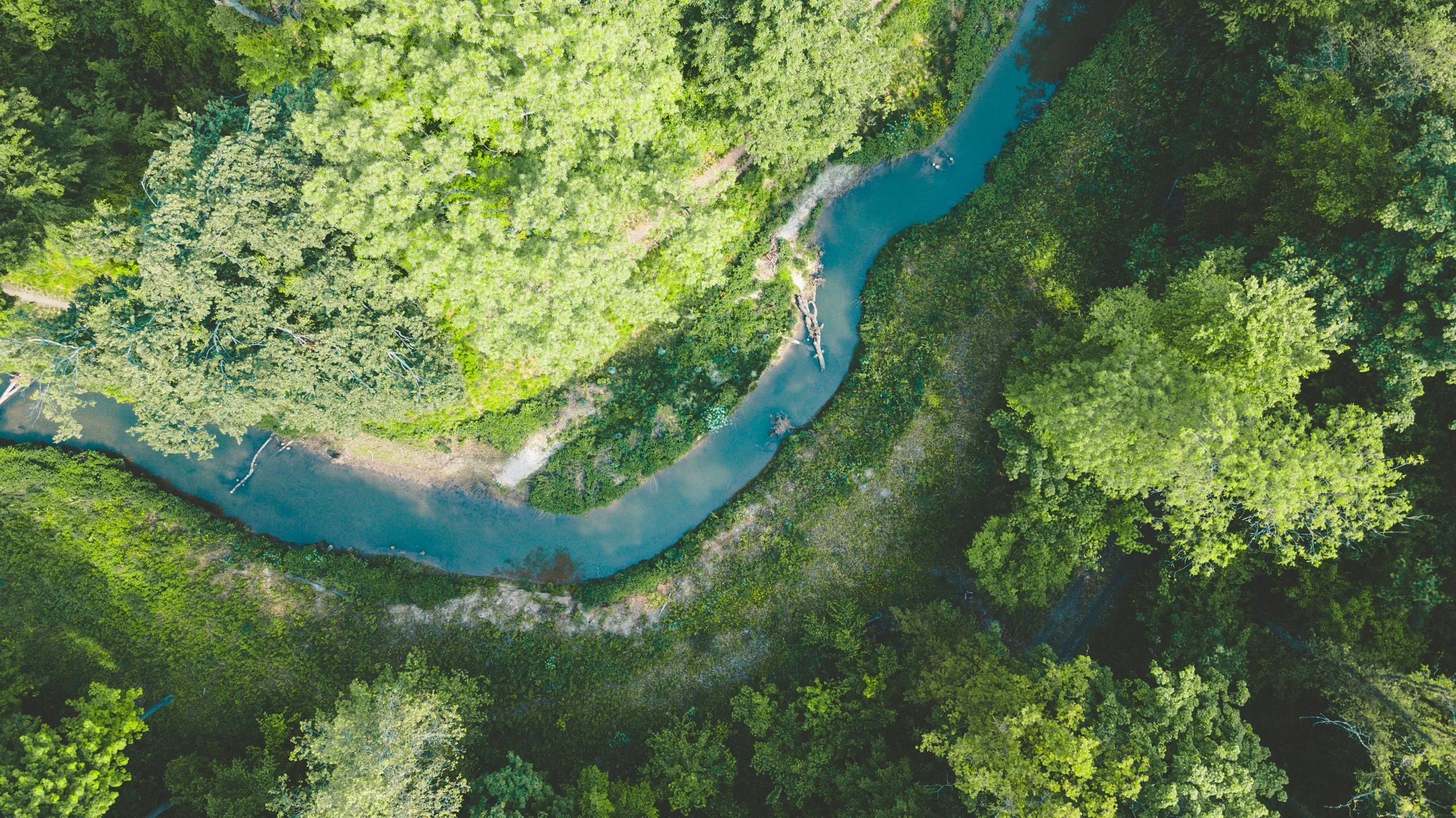 Surfacing the Nature Data You Need With a Knowledge Graph