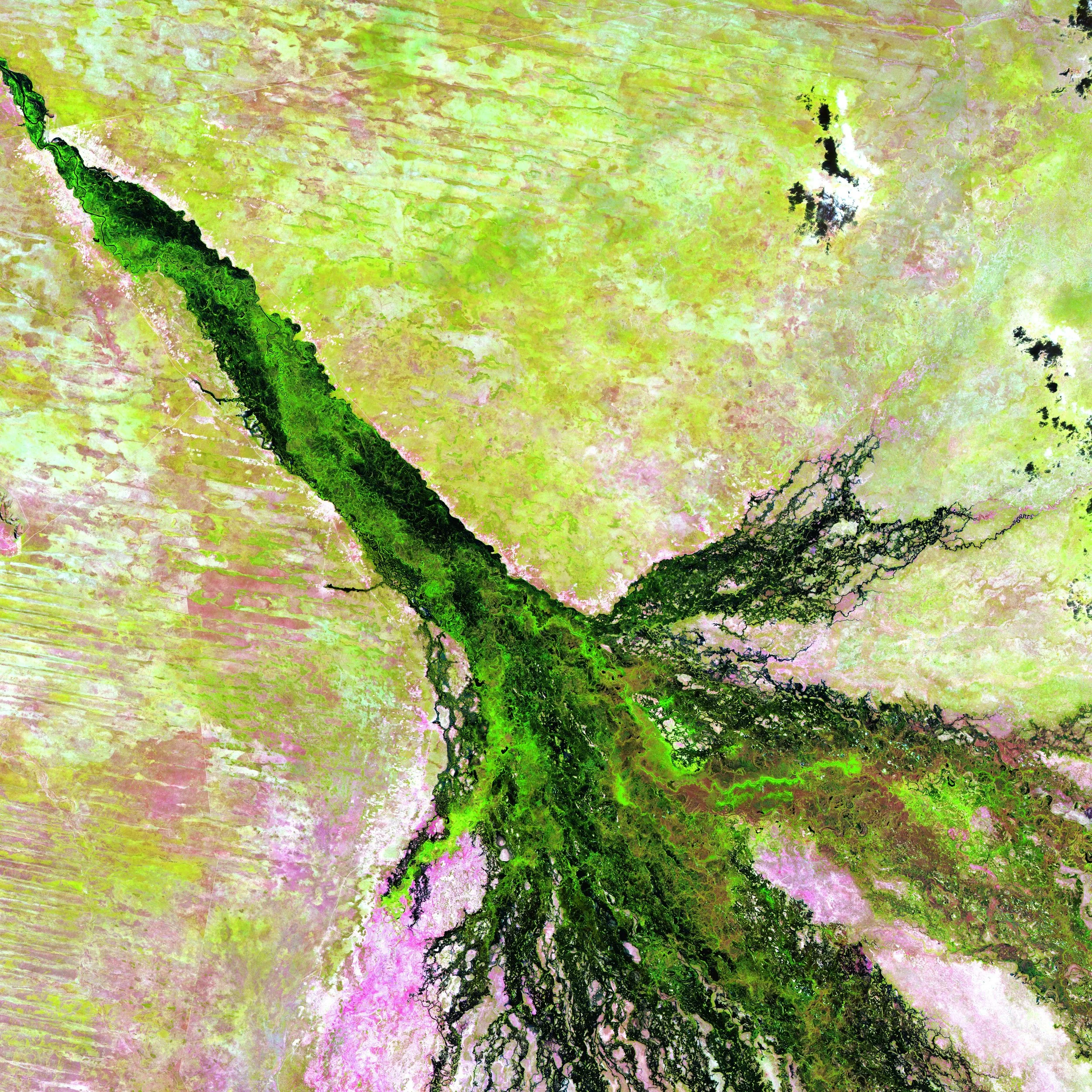 Nature benchmarks to accelerate nature tech