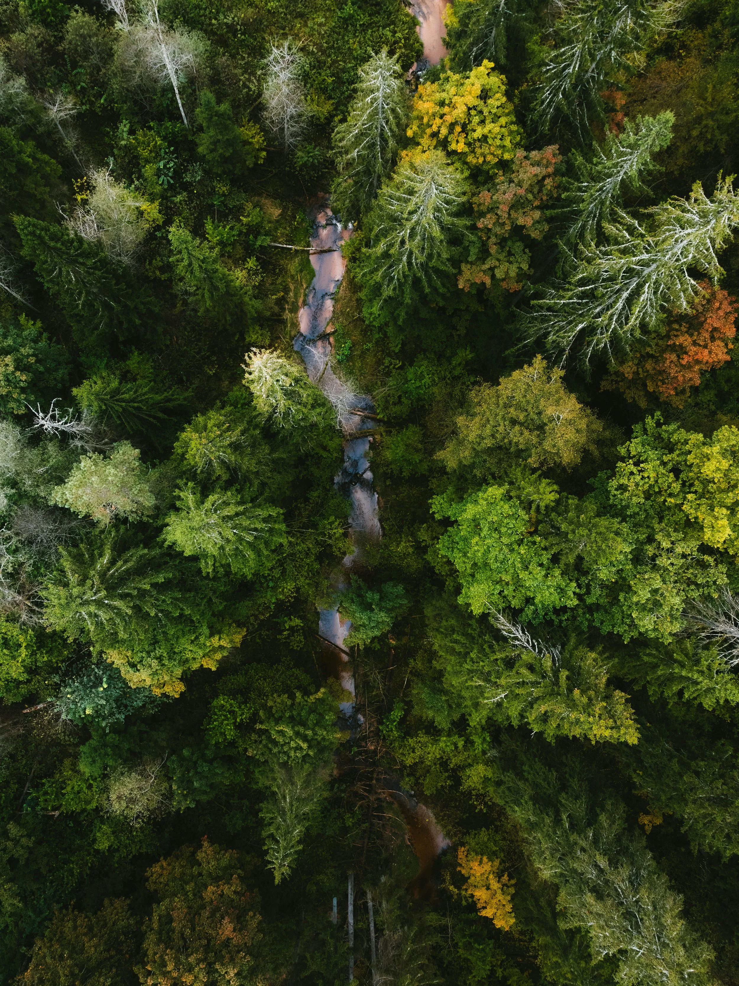 Enabling Systems-Oriented Reasoning of Landscape Resilience