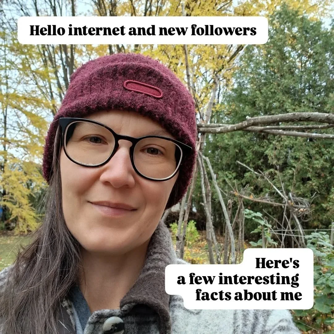 Hello Instagram followers!

Let me introduce myself with this humble bio.
...this is awkward for me to share like this, so bear with me 🤭

Thank you for your support ❤️
Thank you for following my art journey ❤️

#aboutme #artjourney #artbio