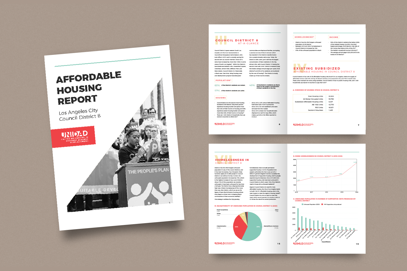 UNIDAD report mock up