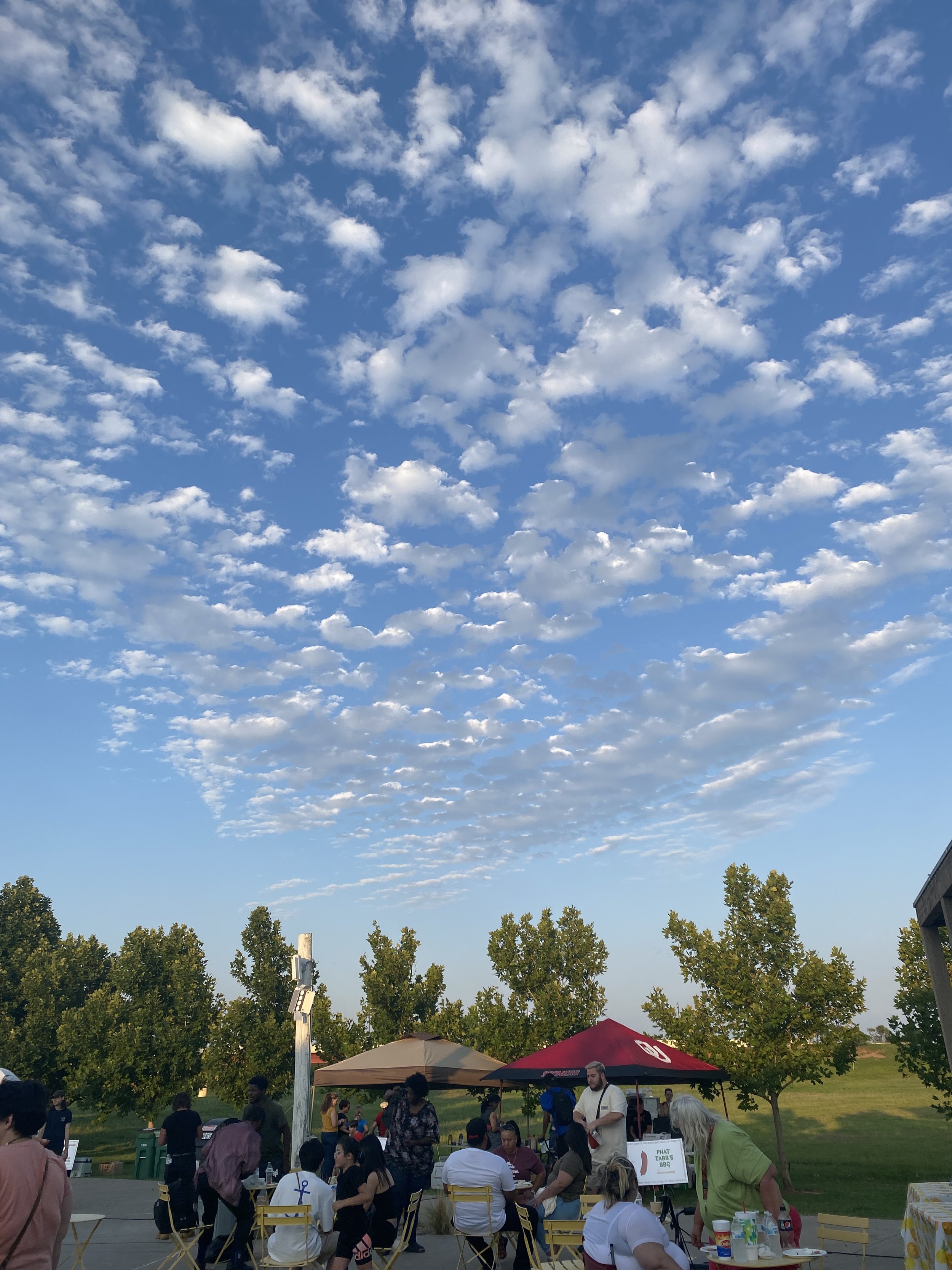 IMG_7957.jpeg