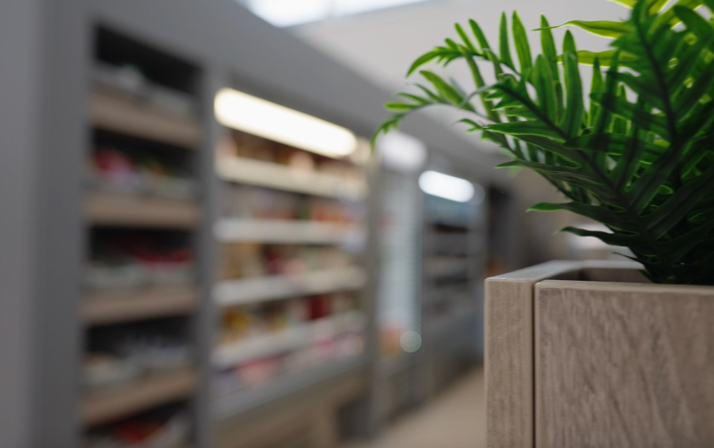 ZenKk-R&P_Web - 4.jpeg