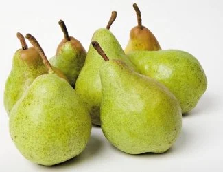 Shenandoah Pear
