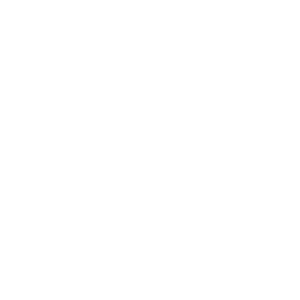 SFMS 2025 EN