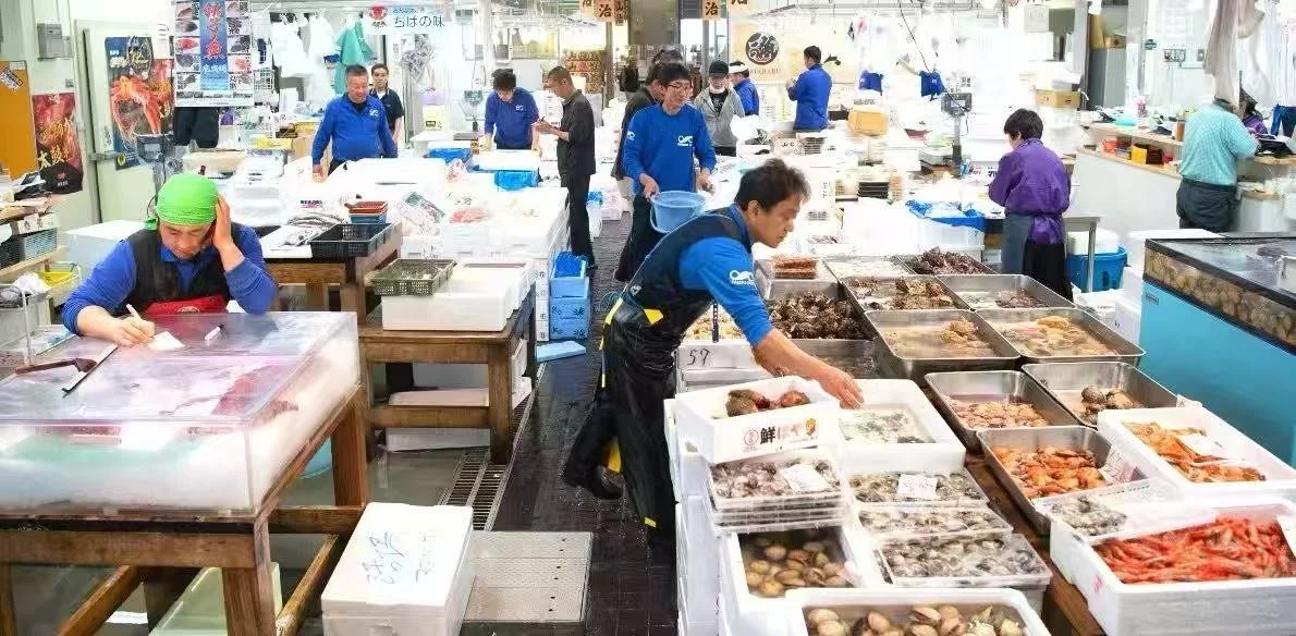 Fish market in Japan