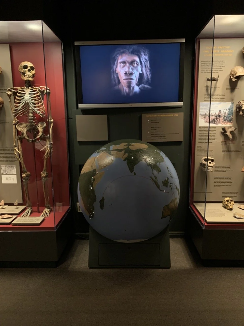 IMG_5803 2 Large.jpeg