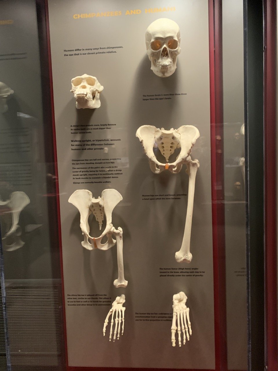 IMG_5565 2 Large.jpeg