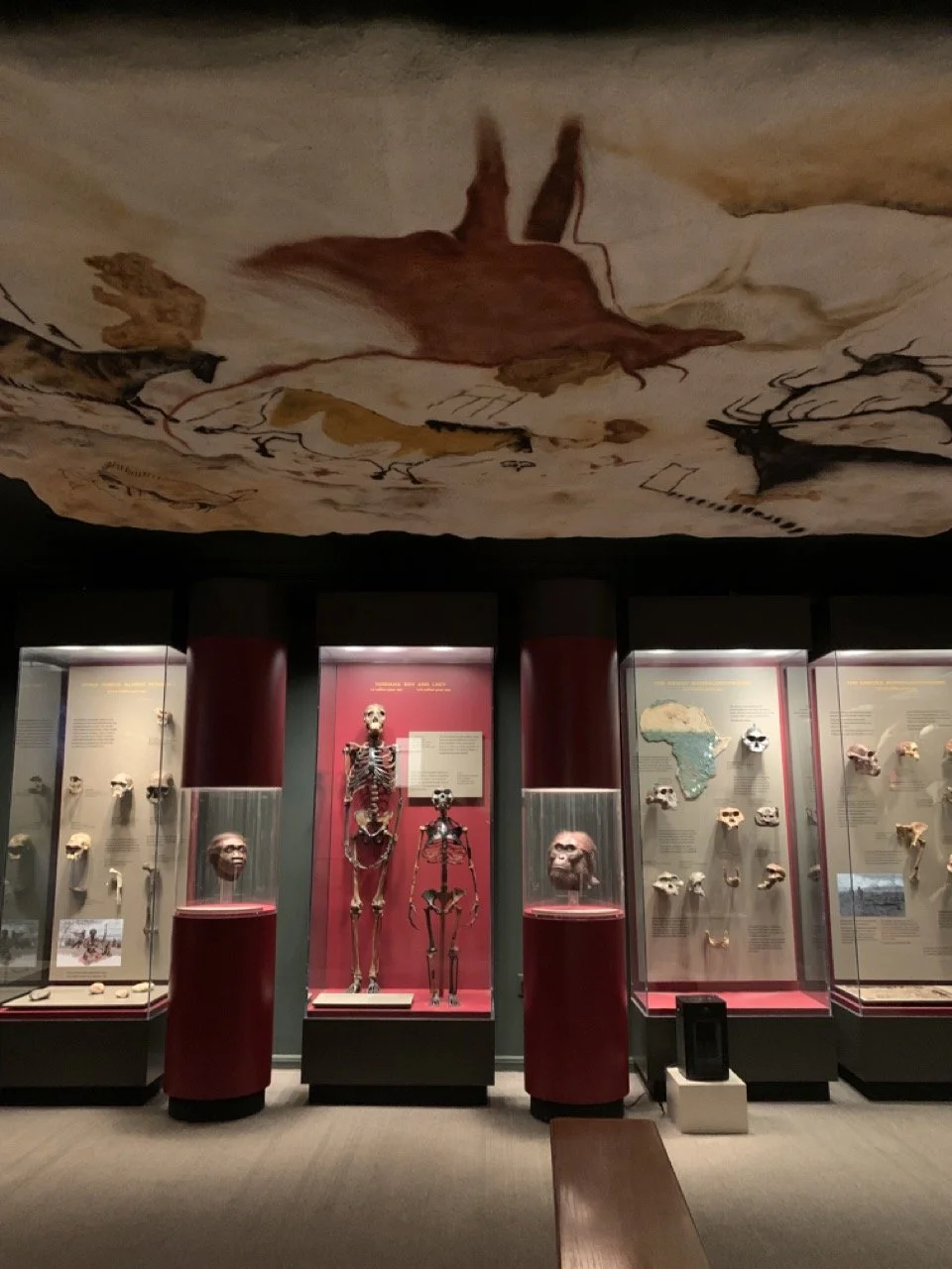 IMG_5820 2 Large.jpeg