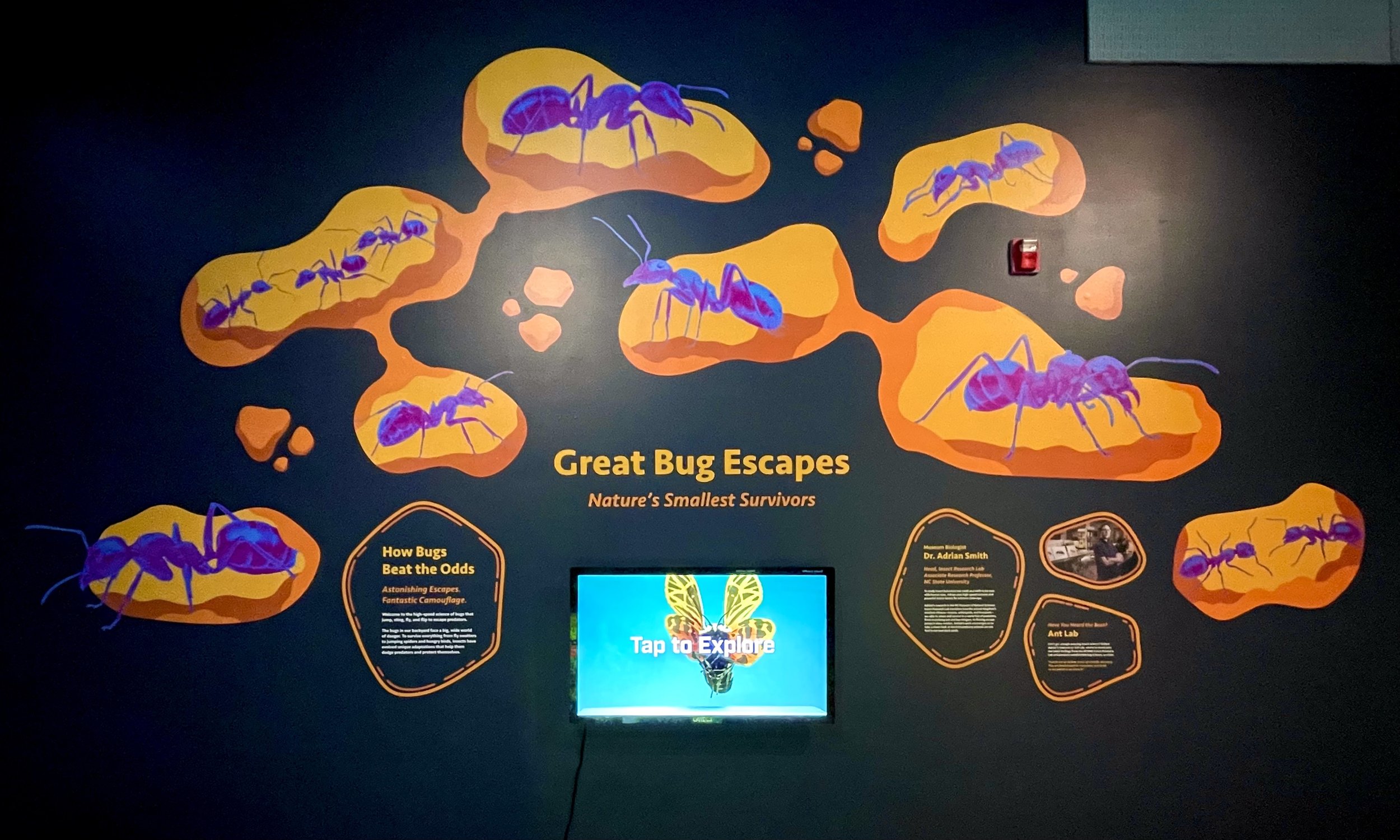 Staying Alive: NCMNS Exhibit Additions