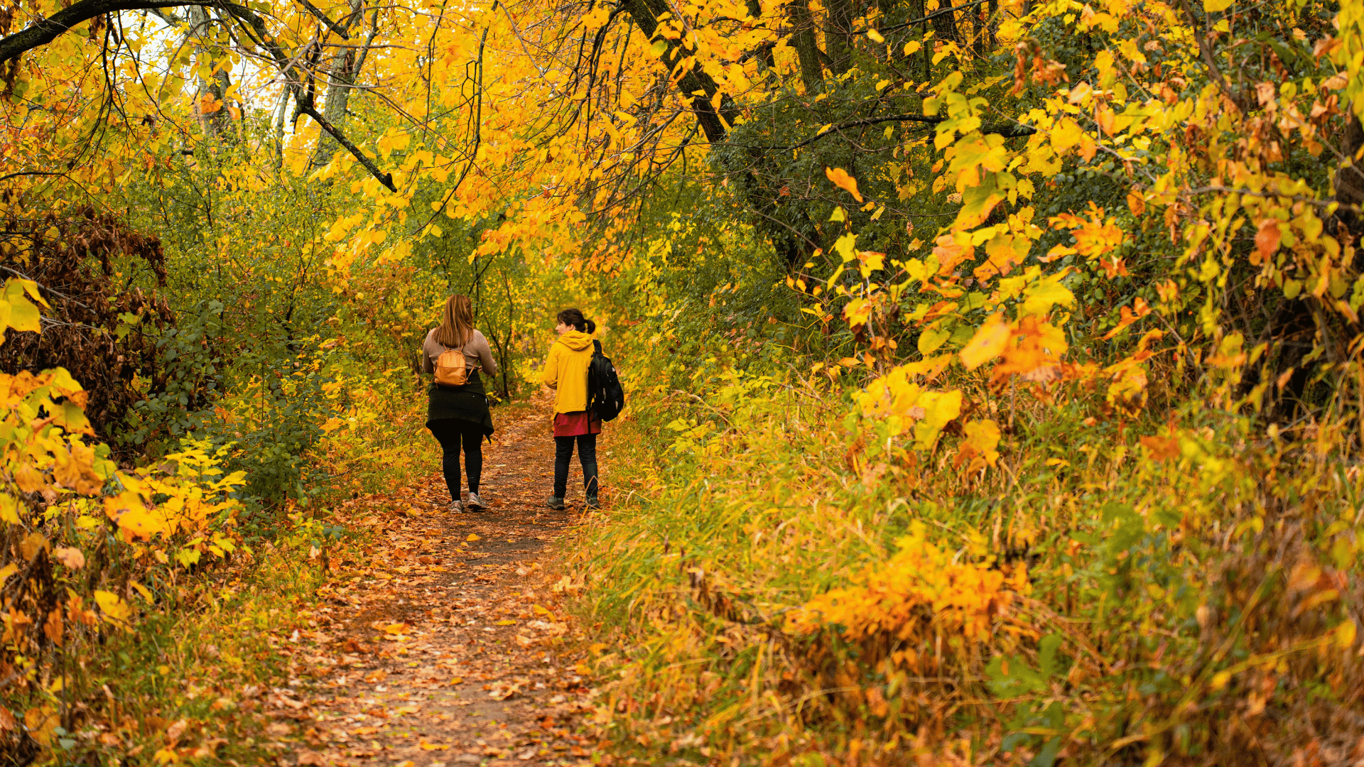 Two women walking on a narrow dirt path surrounded by vibrant autumn foliage in a forest.