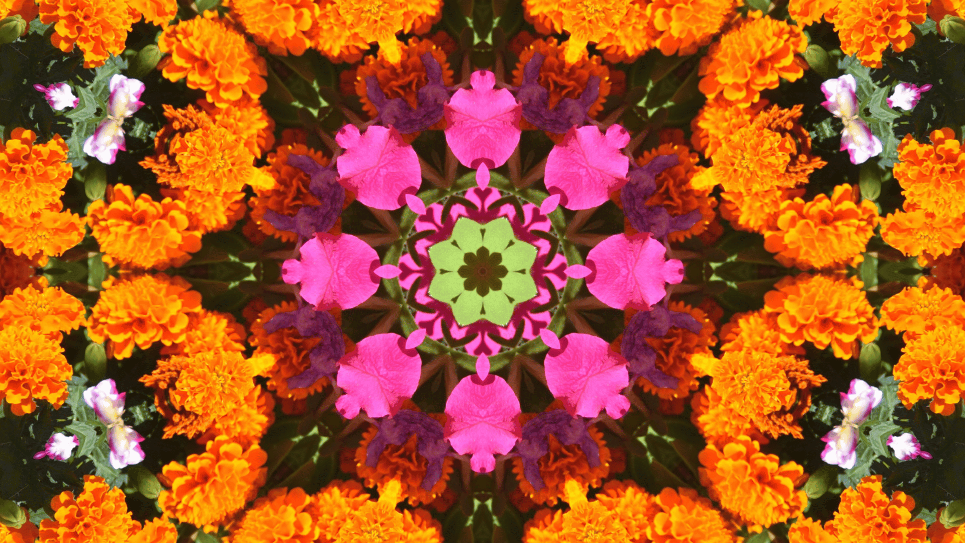 A symmetrical kaleidoscopic pattern made up of vibrant orange marigolds, pink petunias, purple and white flowers, with a central green and pink floral design.