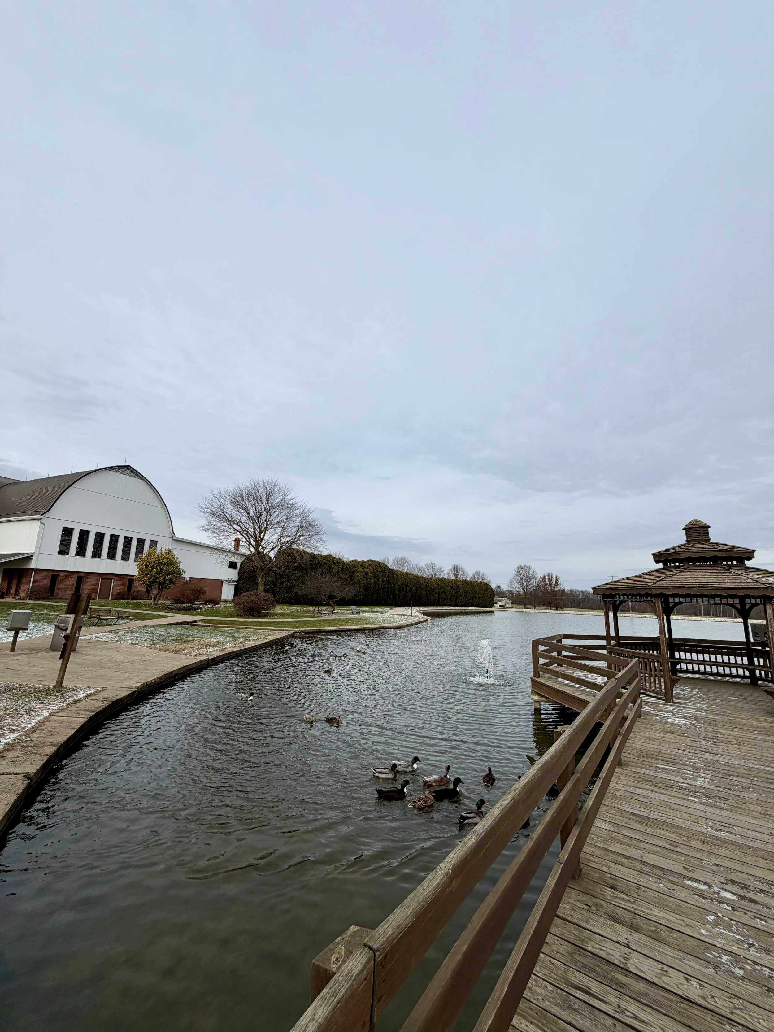 pond + ducks.jpeg
