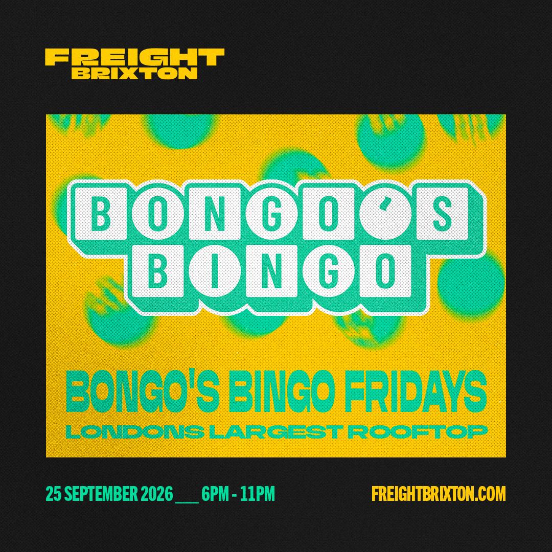 Bongo's Bingo 