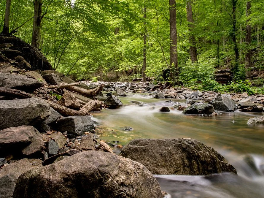 June 13 Hike: Patapsco Valley State Park