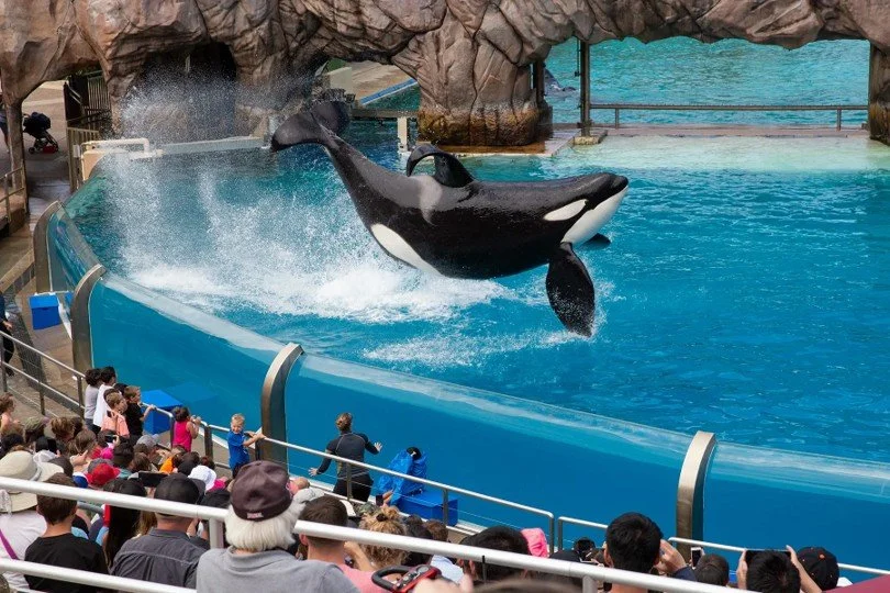Sea World