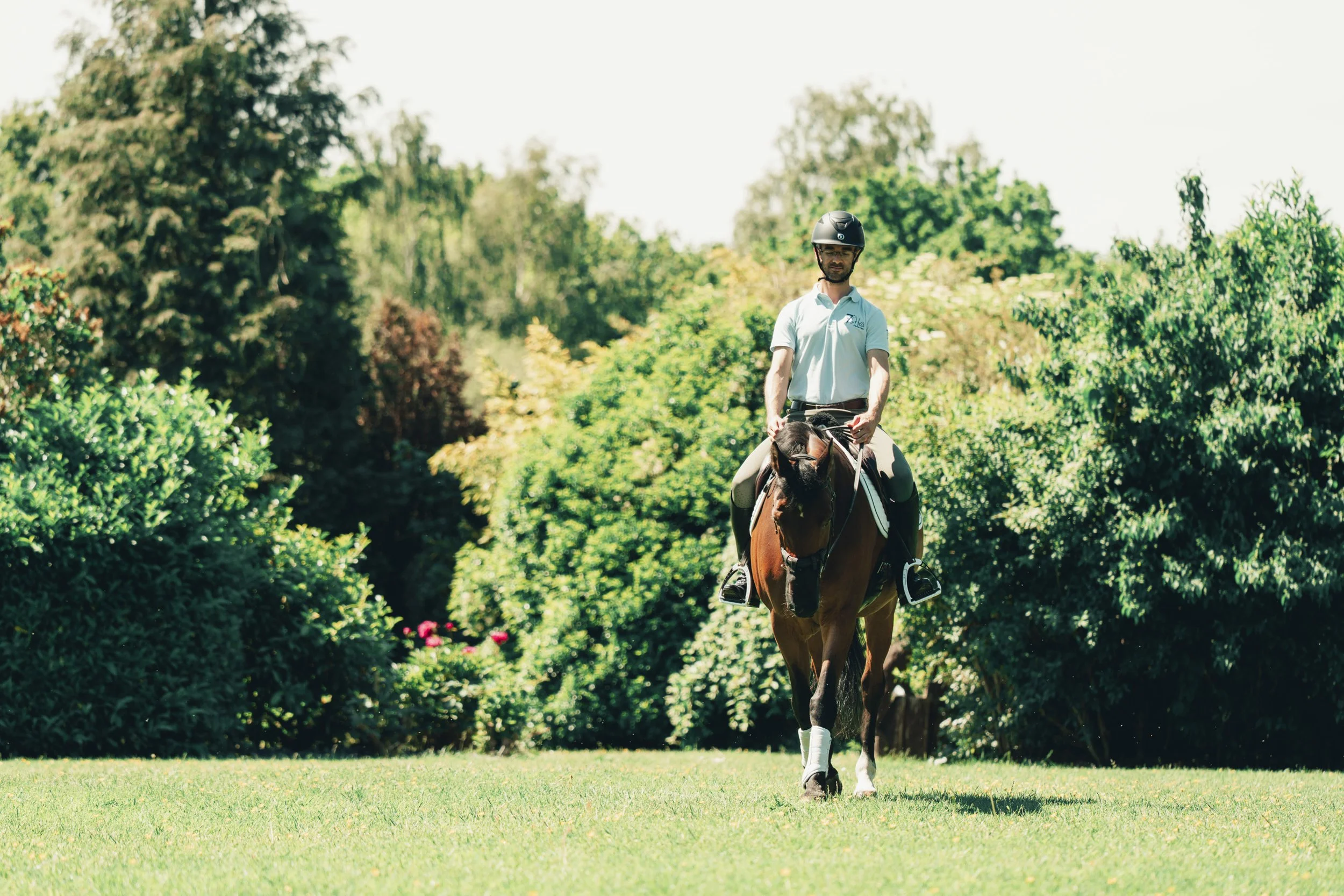 7HillsEquineVets_Bernardo Ridding.jpg