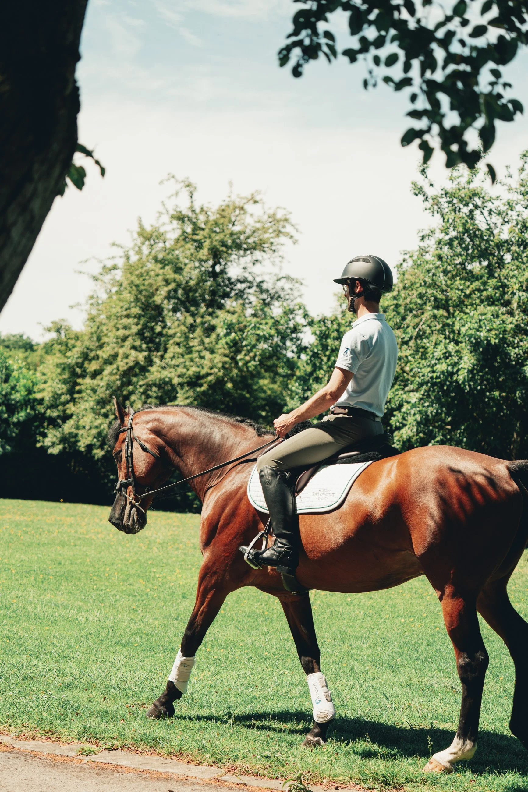 7HillsEquineVets_Bernardo Ridding vertical.jpg