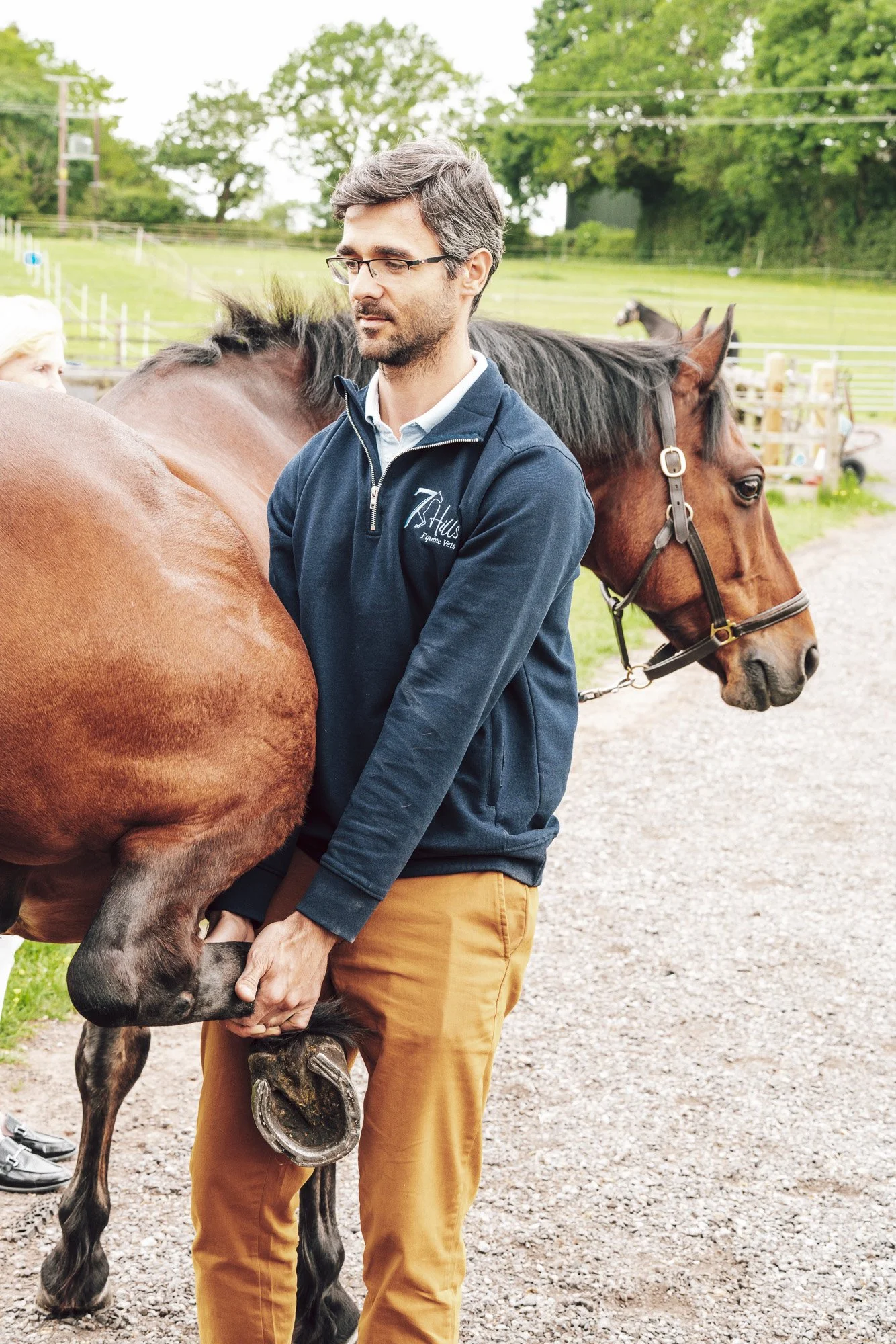 Seven Hills Equine vet examining a horse's hoof during a lameness check at a yard in Cheshire