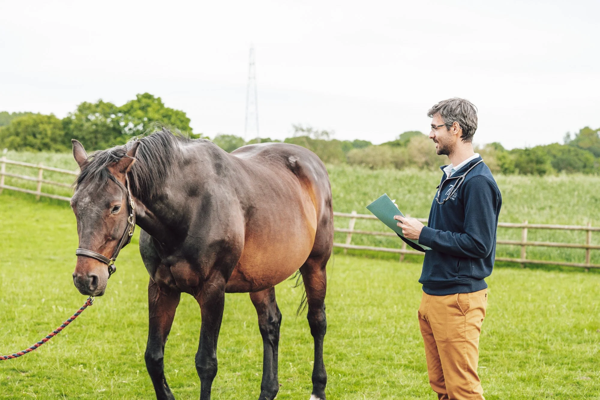 Vet with a clipboard inspecting a bay horse in a paddock during a pre-purchase vetting in Cheshire