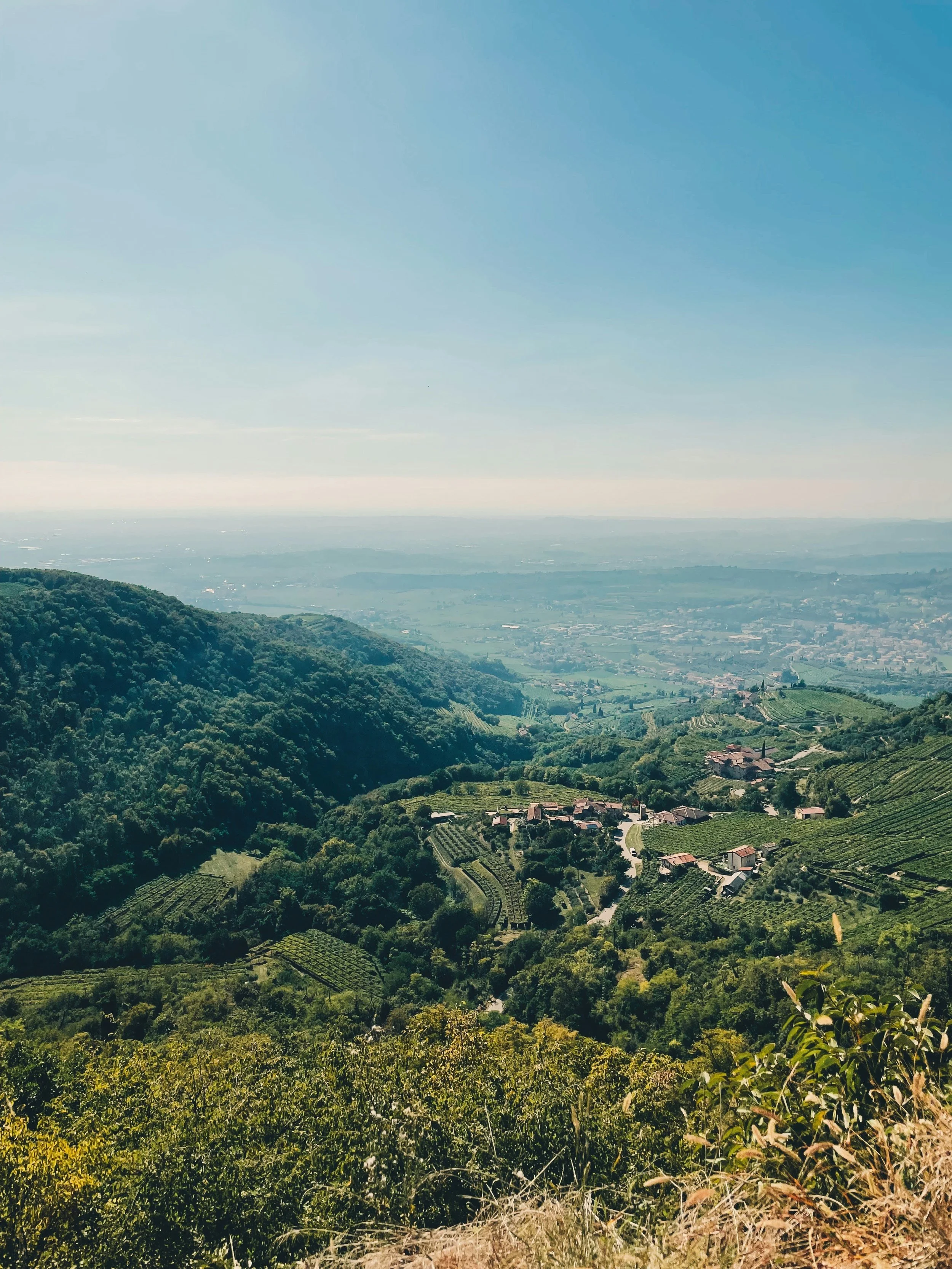 Paesaggio collinare con vigneti e qualche edificio, sotto un cielo blu con poche nuvole.