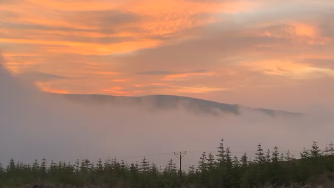 Sunset or sunrise over mountains with a layer of fog or mist and a row of trees in the foreground.
