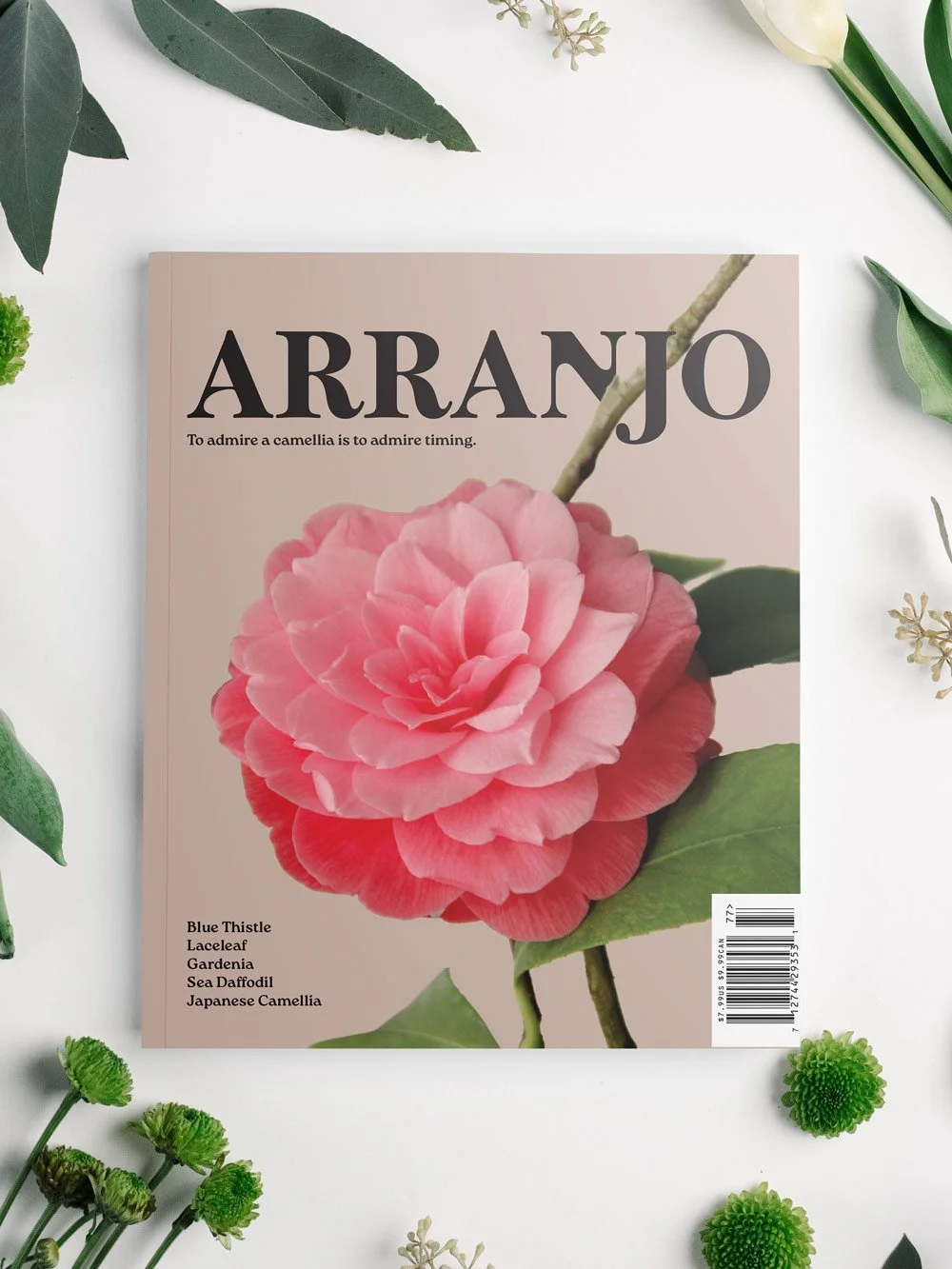 Arranjo
