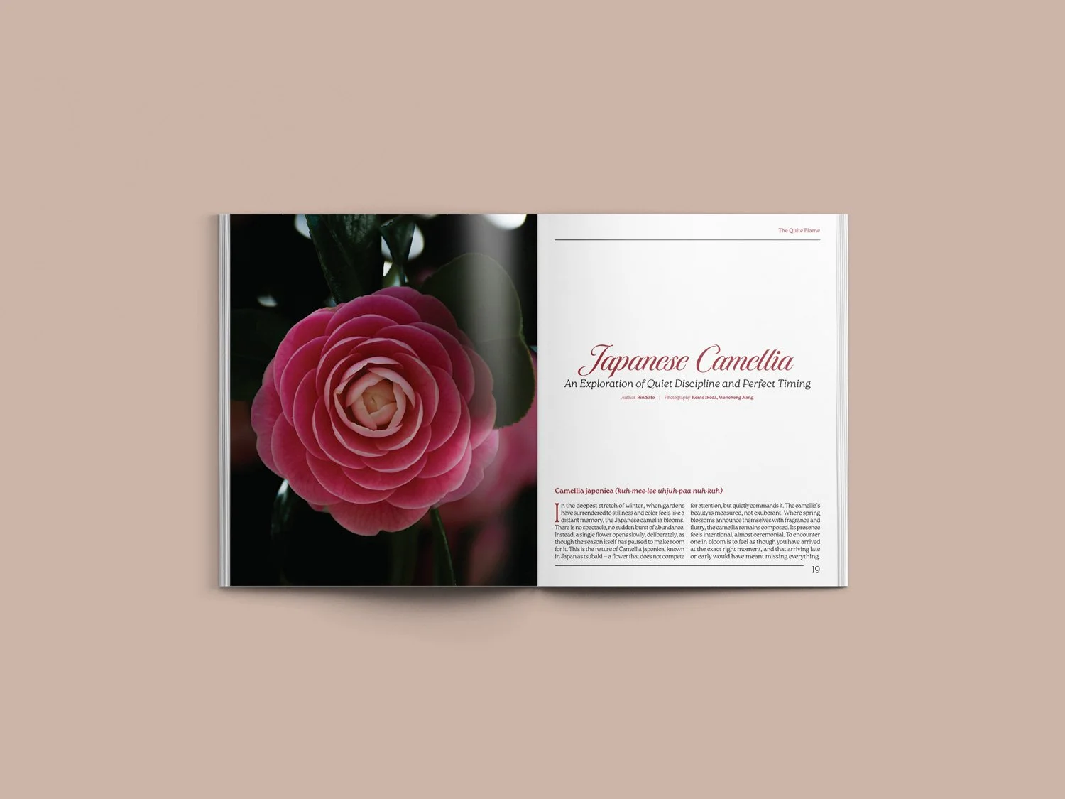 A4-Magazine-Mockup-Spread18-19.jpg