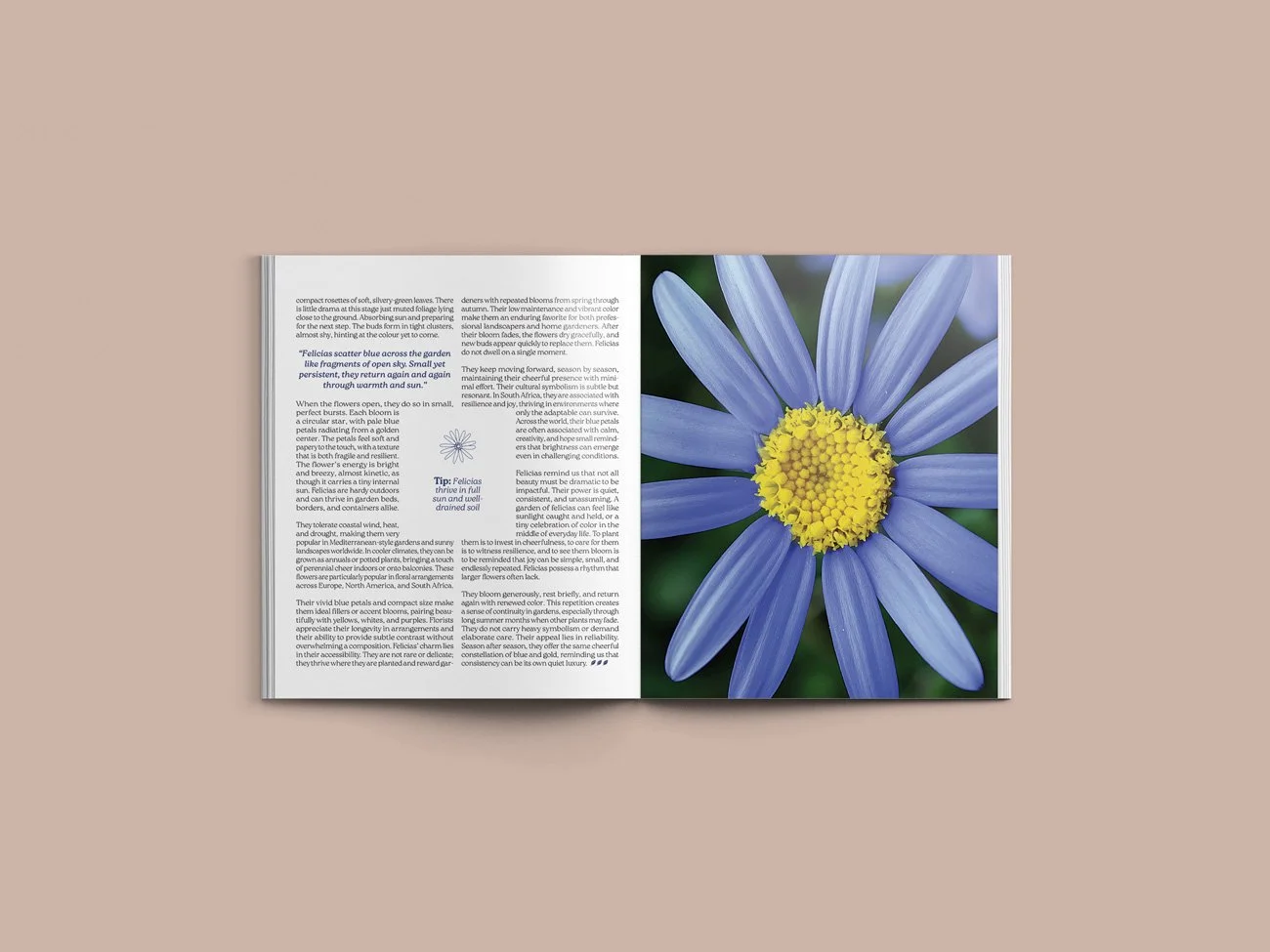 A4-Magazine-Mockup-Spread25-26.jpg