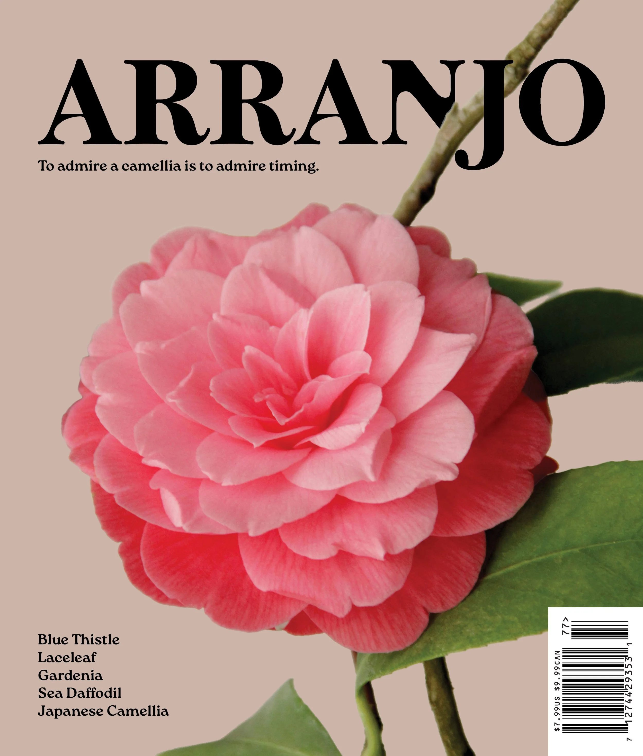 Arranjo, zine front cover.