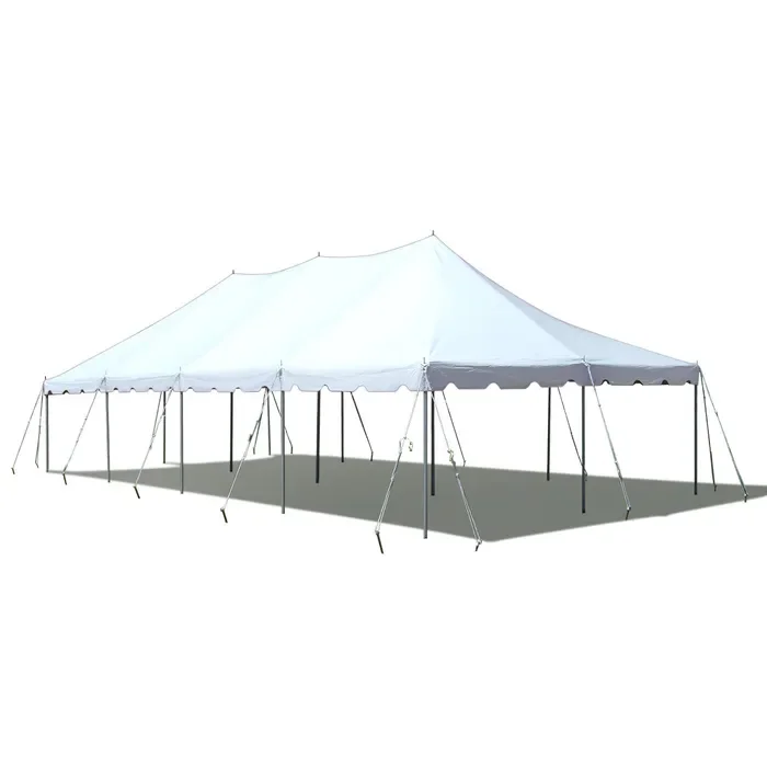 20' x 40' Party Tent